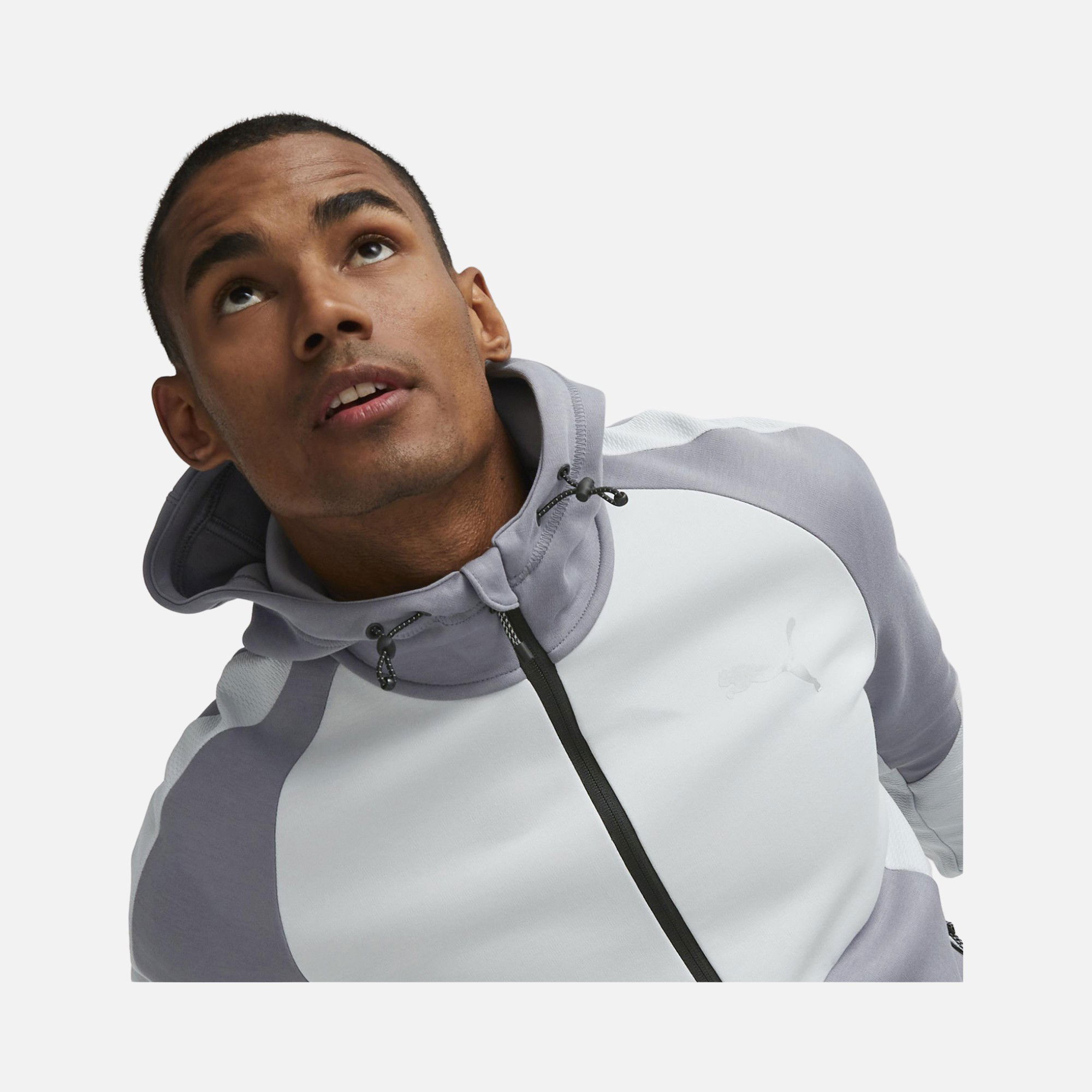 Puma Sportswear Evostripe SS23 Full-Zip Hoodie Erkek Sweatshirt