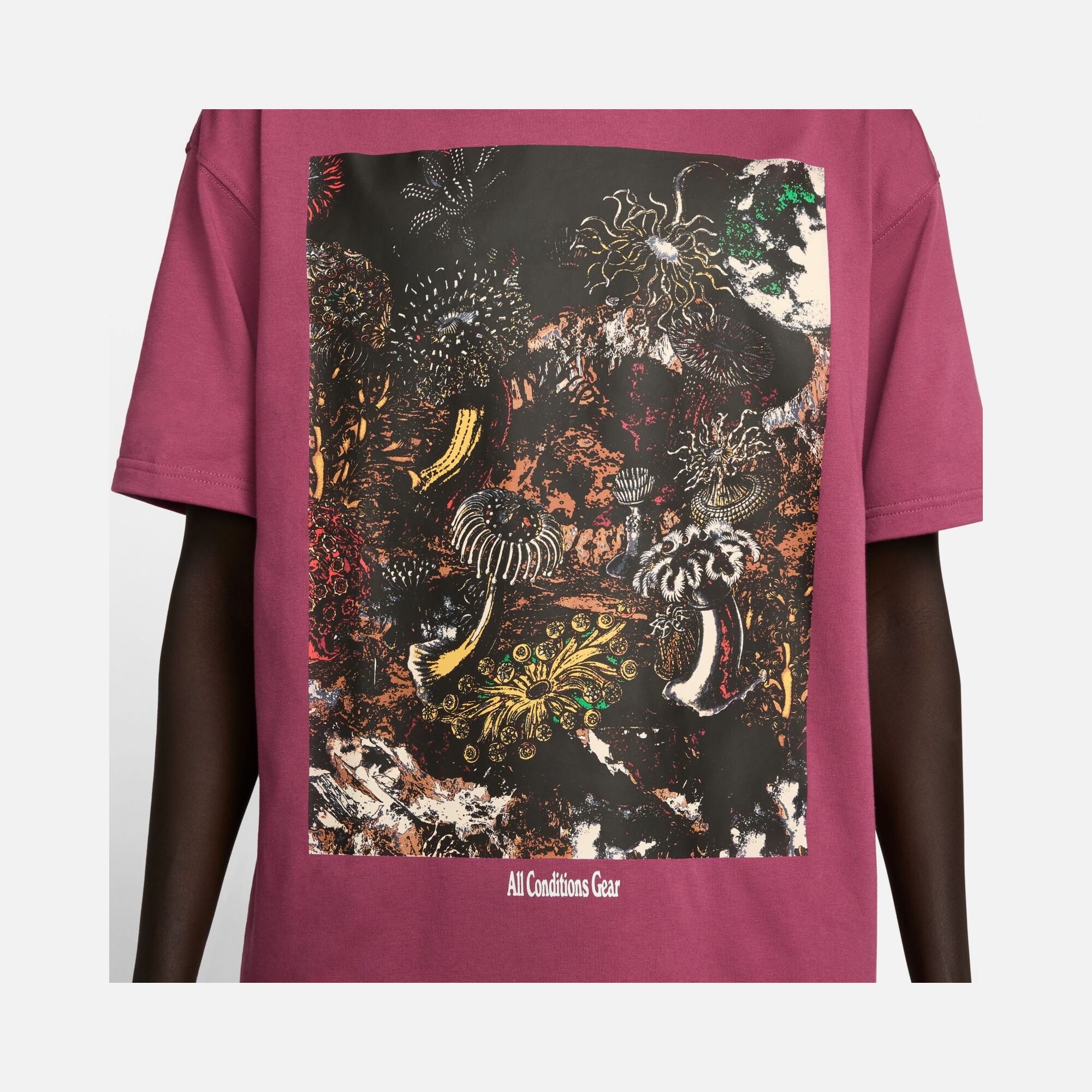 Nike Sportswear ACG Tidalpool Graphic Short-Sleeve Erkek Tişört