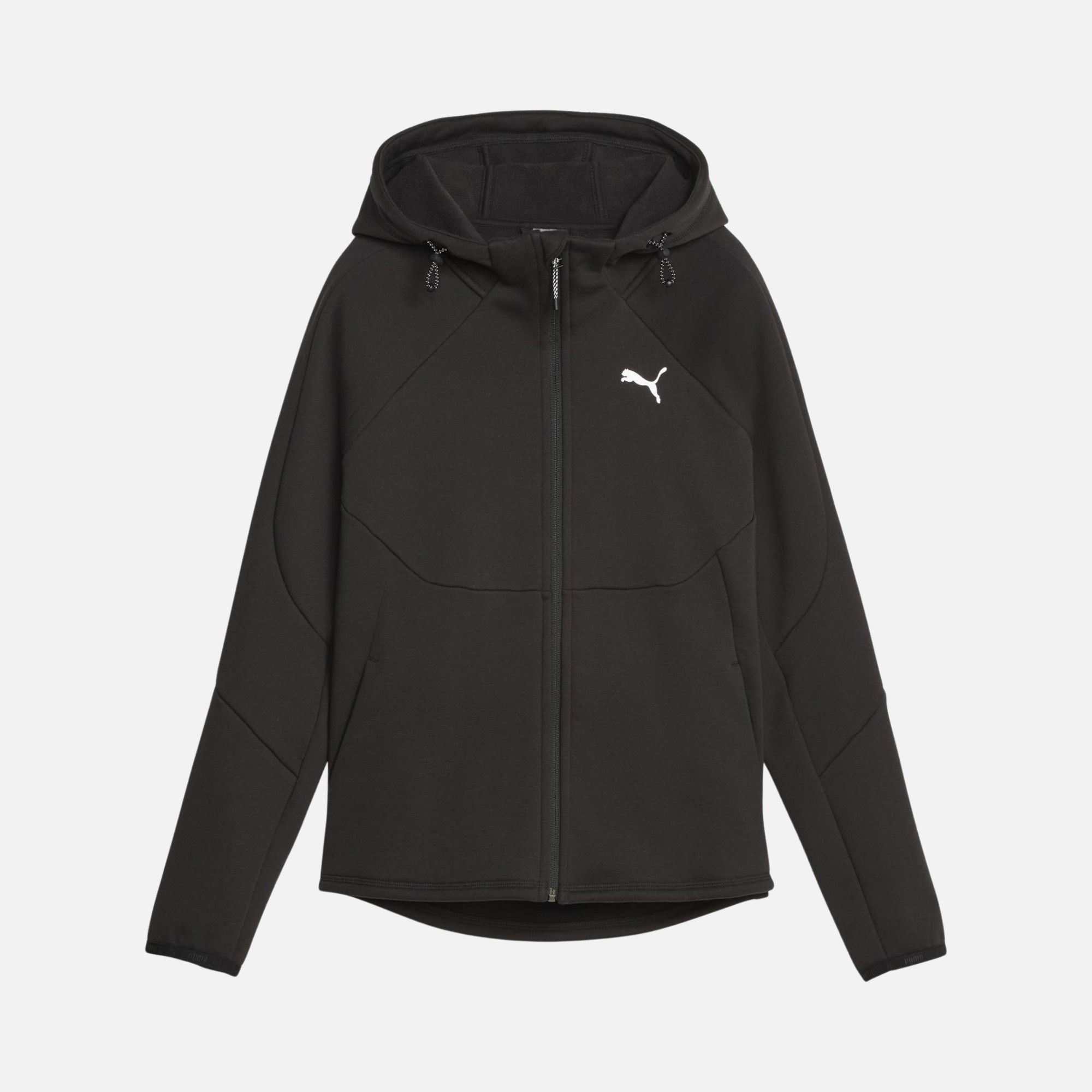 Puma Sportswear Evostripe Winterized Full-Zip Hoodie Erkek Sweatshirt