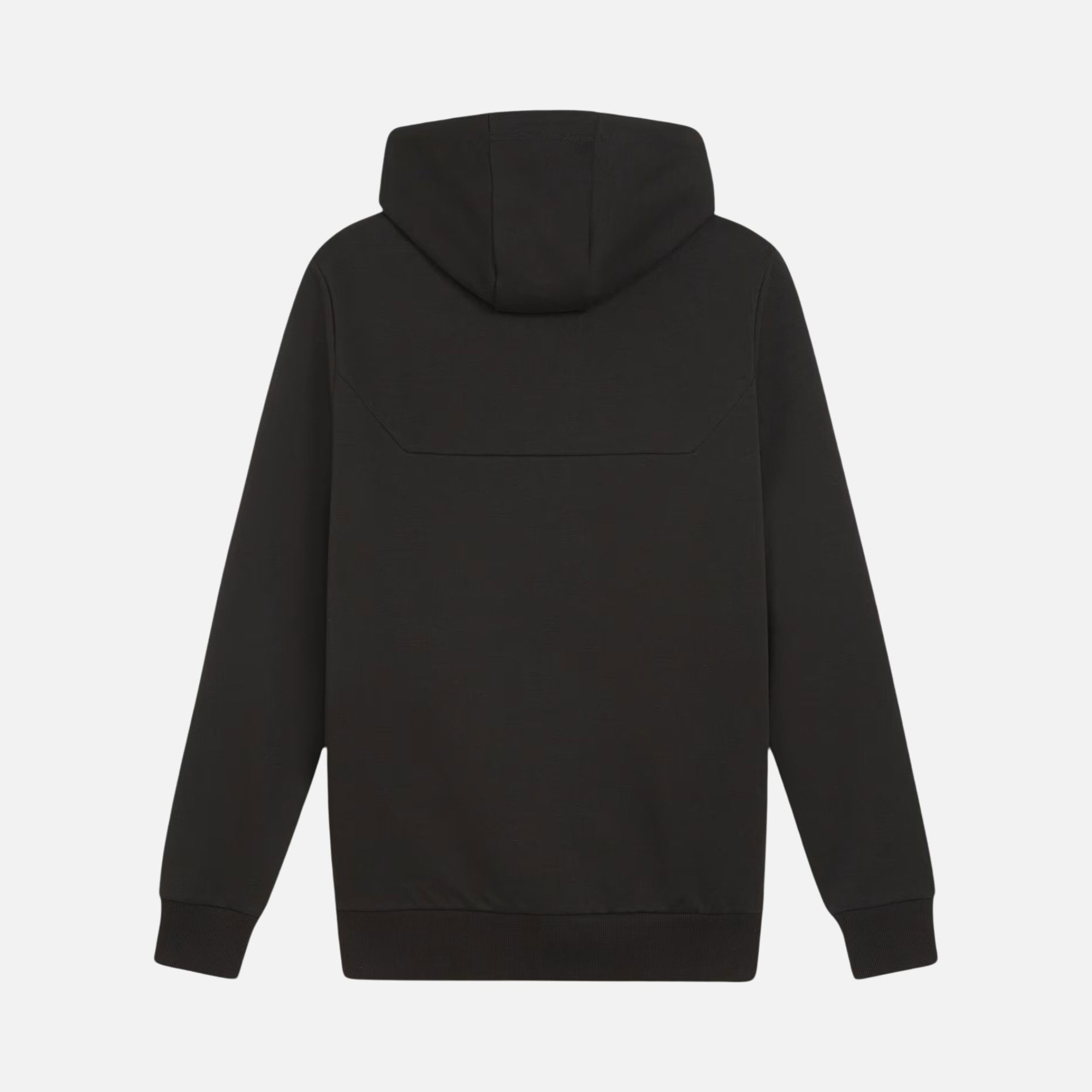 Puma Sportswear Mercedes-AMG Petronas Full-Zip Hoodie Erkek Ceket