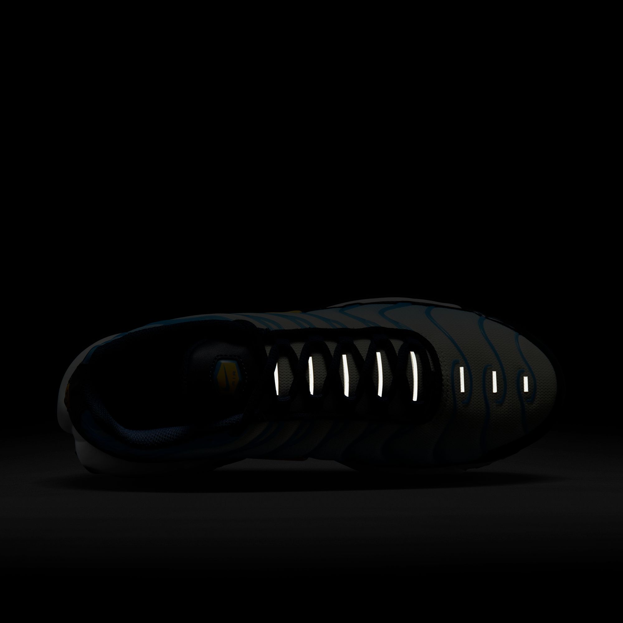 Nike Air Max Plus TN SP23 Kadın Spor Ayakkabı