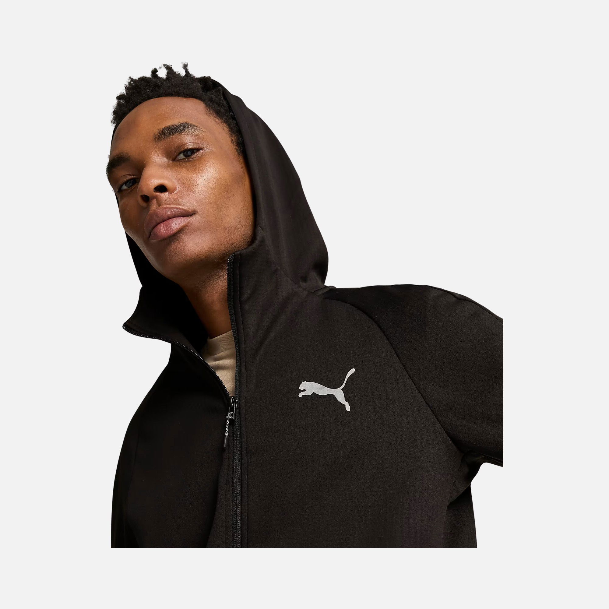 Puma Sportswear Evostripe FW24 Full-Zip Hoodie Erkek Sweatshirt