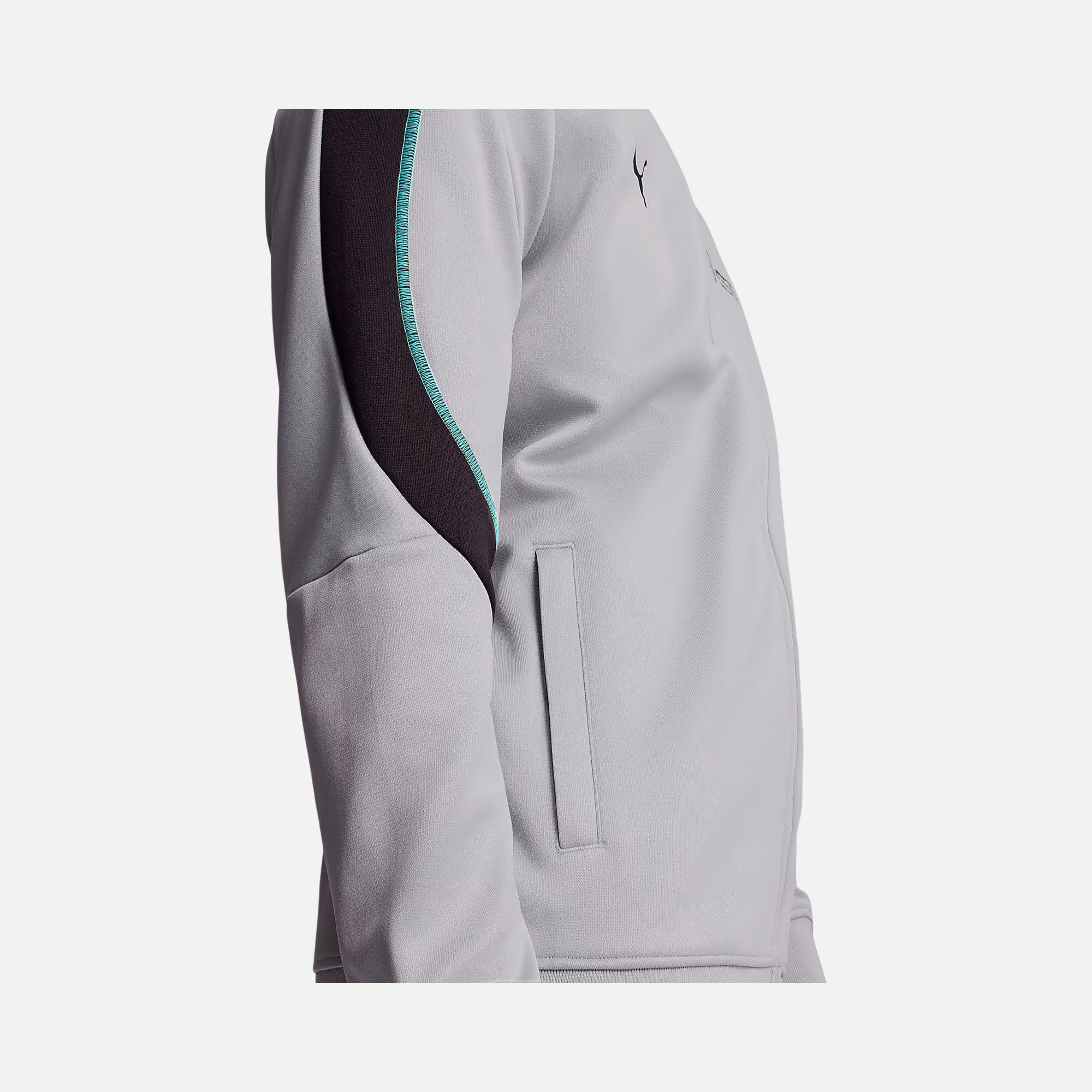 Puma Mercedes-AMG Petronas F1 MT7+ Full-Zip Erkek Ceket