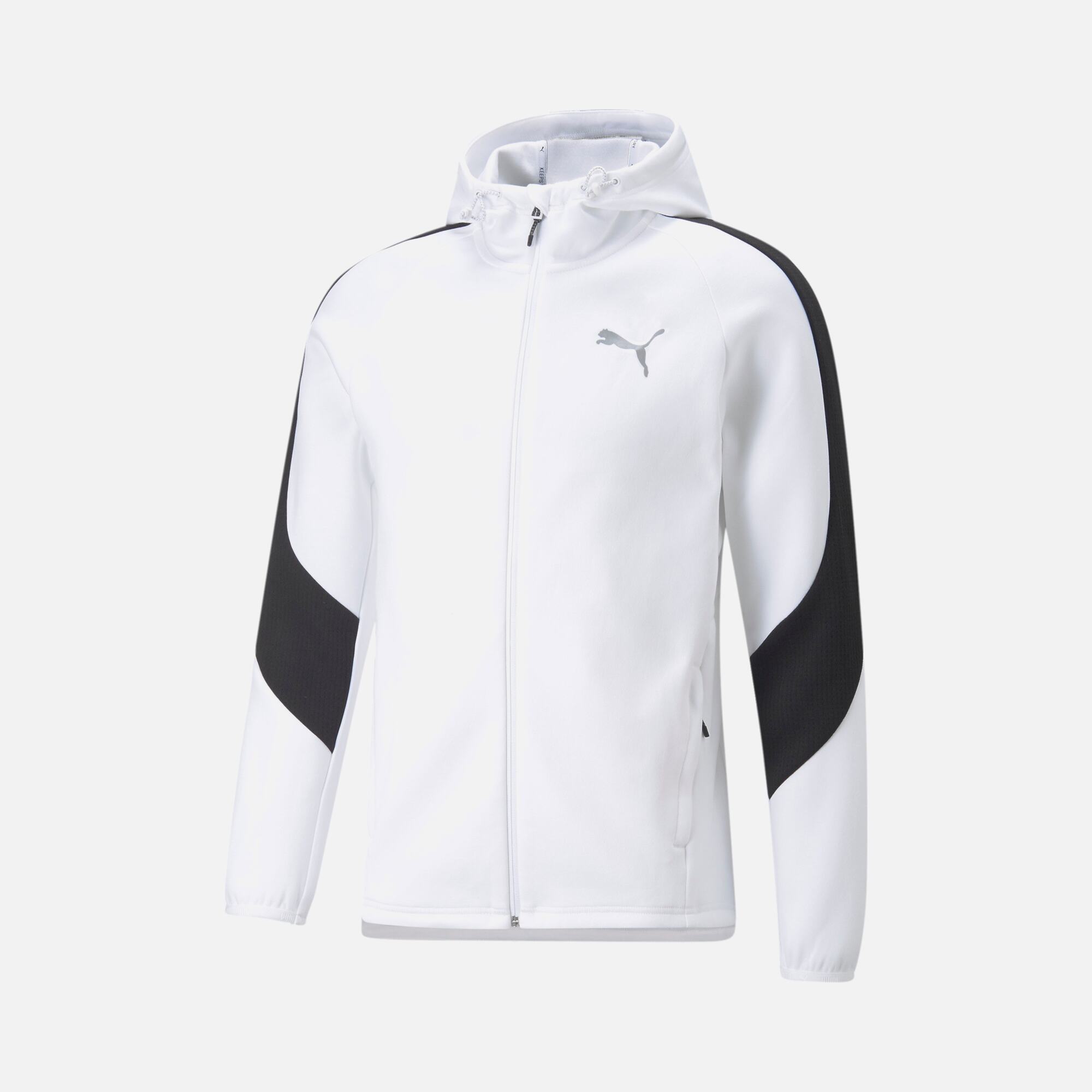 Puma Sportswear Evostripe Full-Zip Hoodie Erkek Sweatshirt