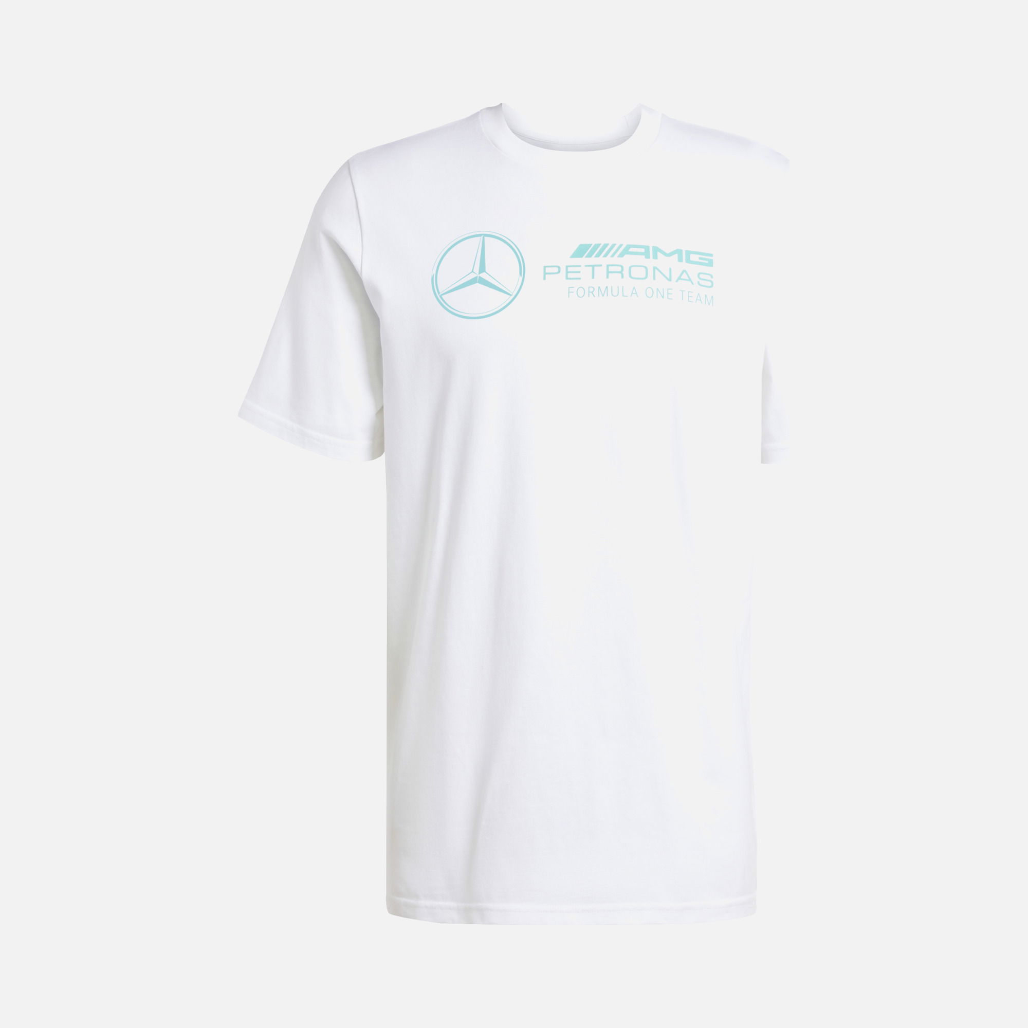 adidas Mercedes-AMG Petronas F1 Team DNA Graphic Regular-Fit Racing Fans Short-Sleeve Erkek Tişört