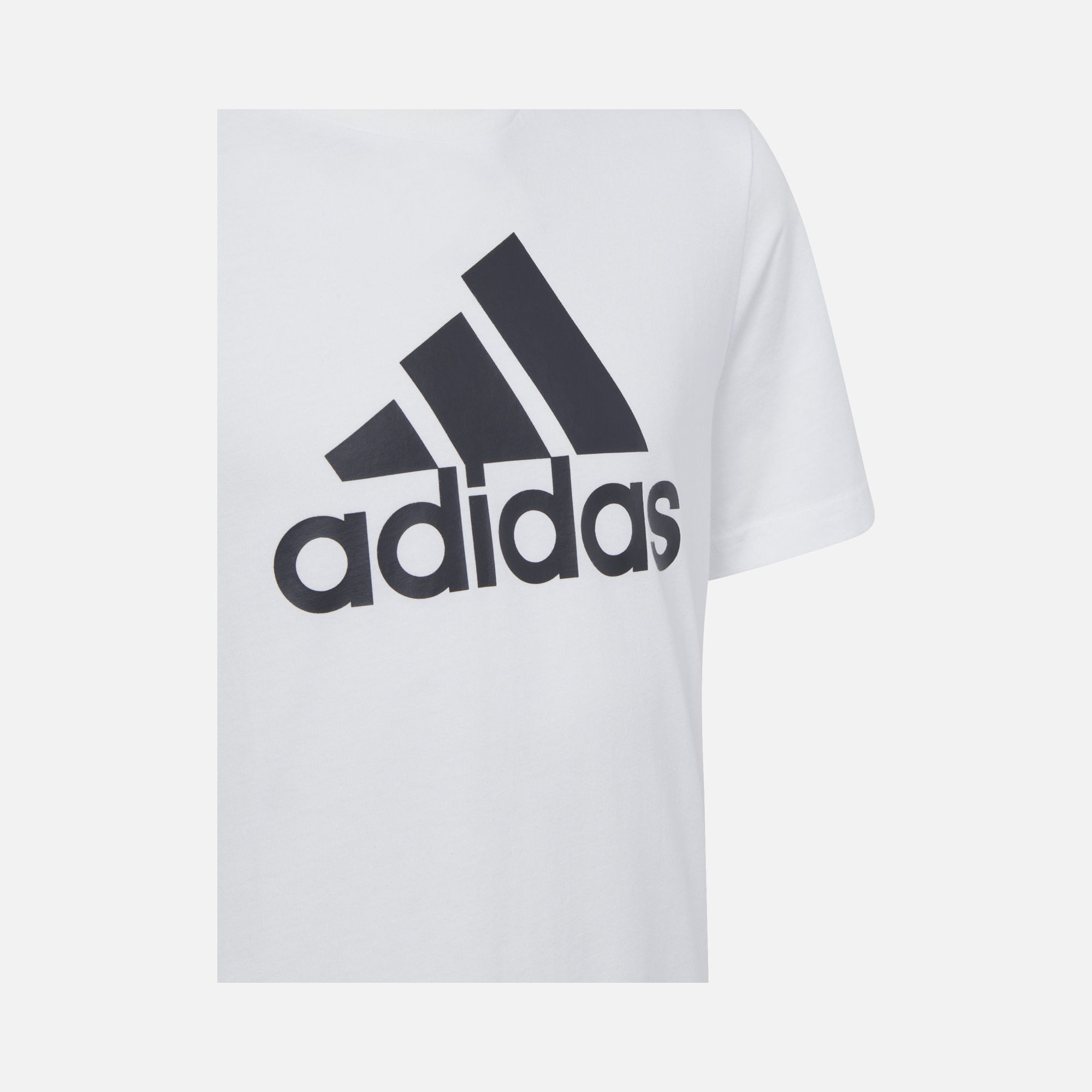 adidas Sportswear Essentials Big Logo Short-Sleeve Çocuk Tişört