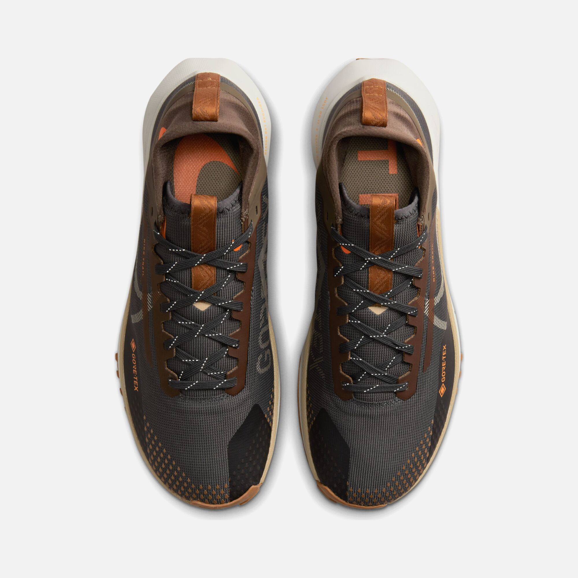 Nike Pegasus Trail 4 Gore-Tex Road Running Erkek Spor Ayakkabı