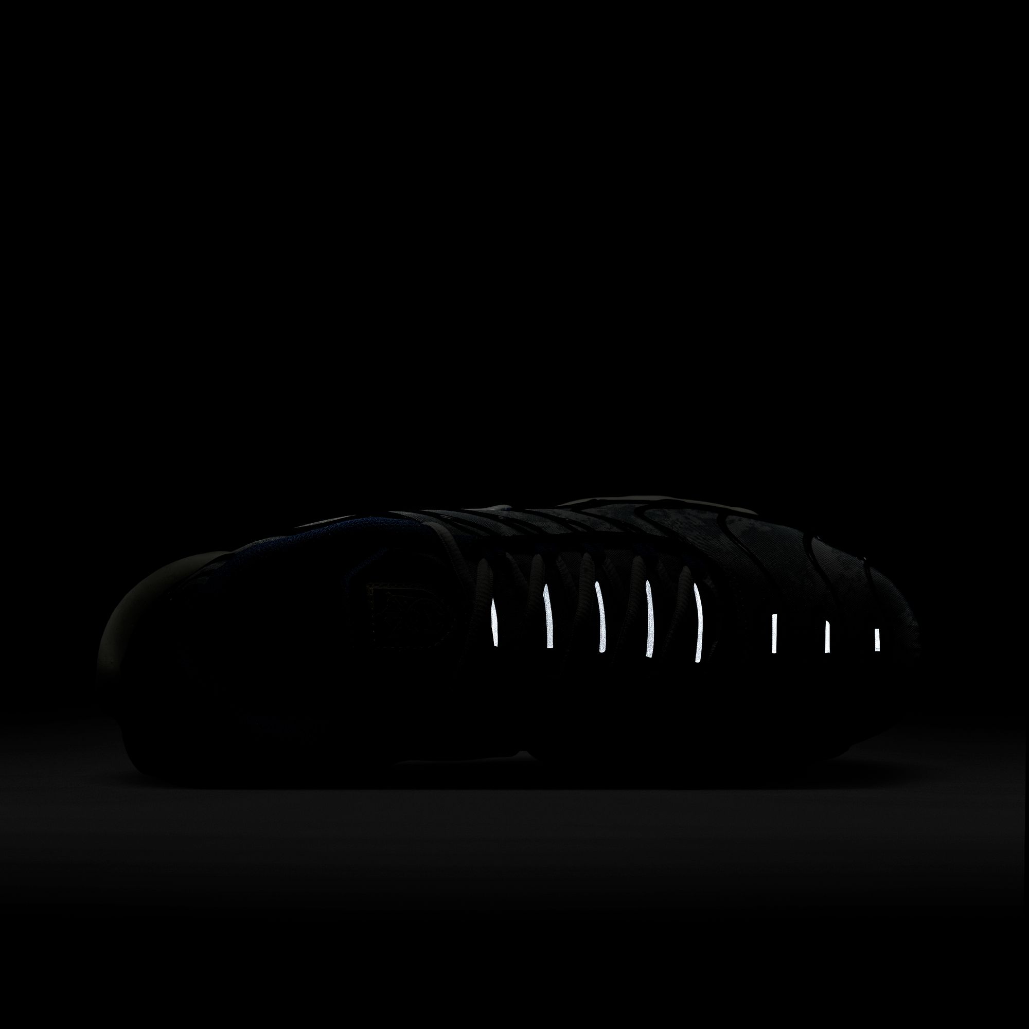 Nike Air Max Plus SE Erkek Spor Ayakkabı