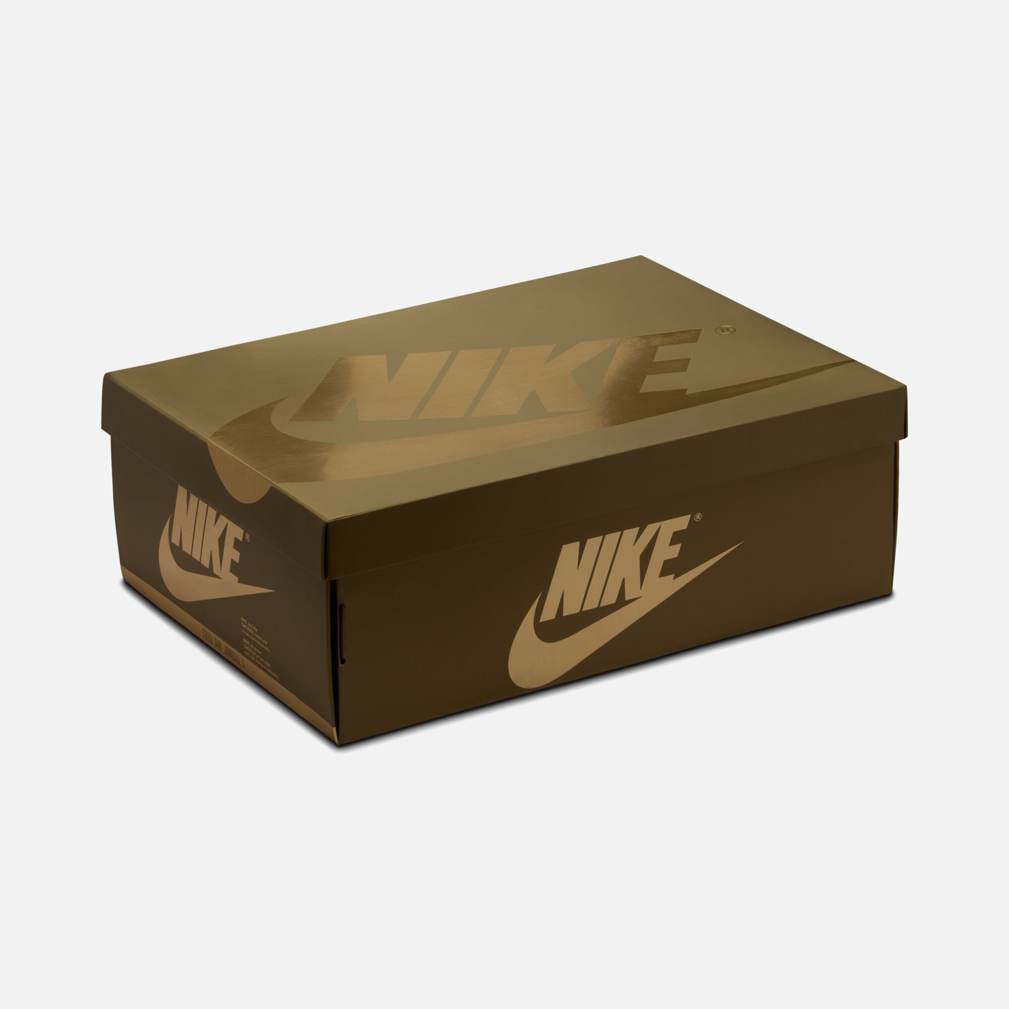 Nike Air Jordan 1 Retro High OG FW24 Erkek Spor Ayakkabı