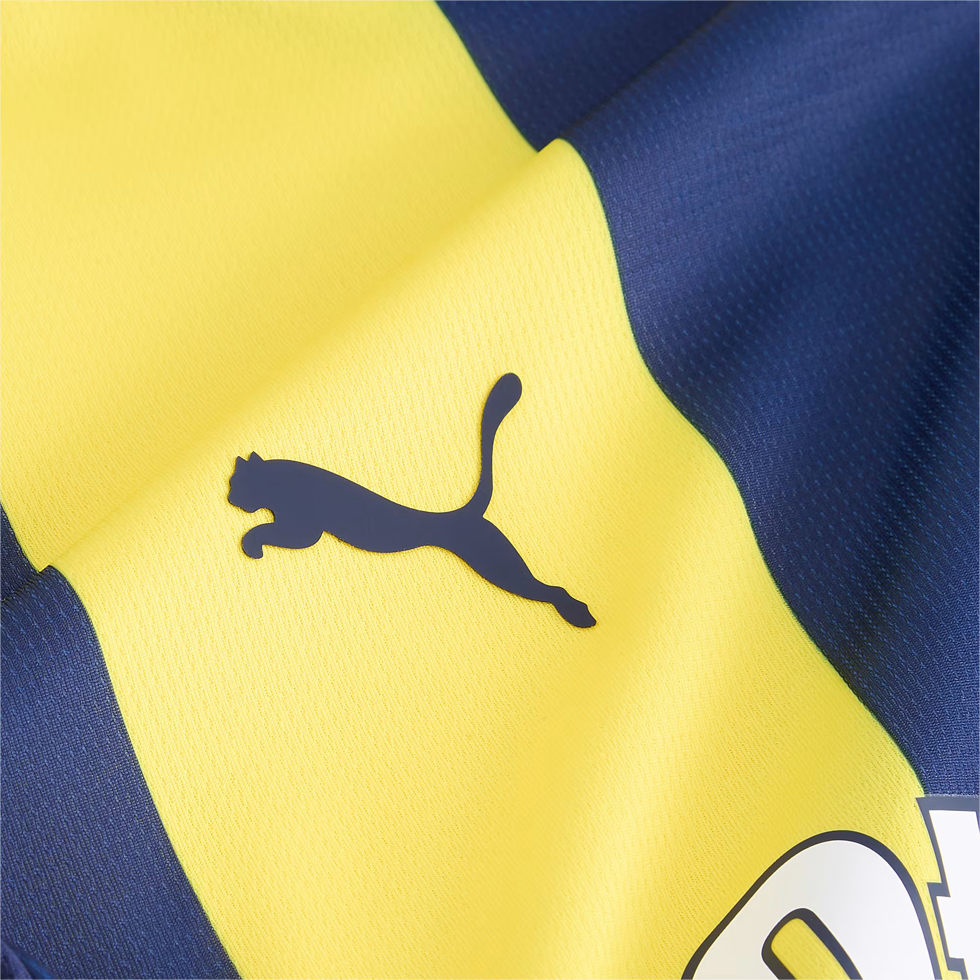 Puma Fenerbahçe 2024-2025 Çubuklu İç Saha Çocuk Forma