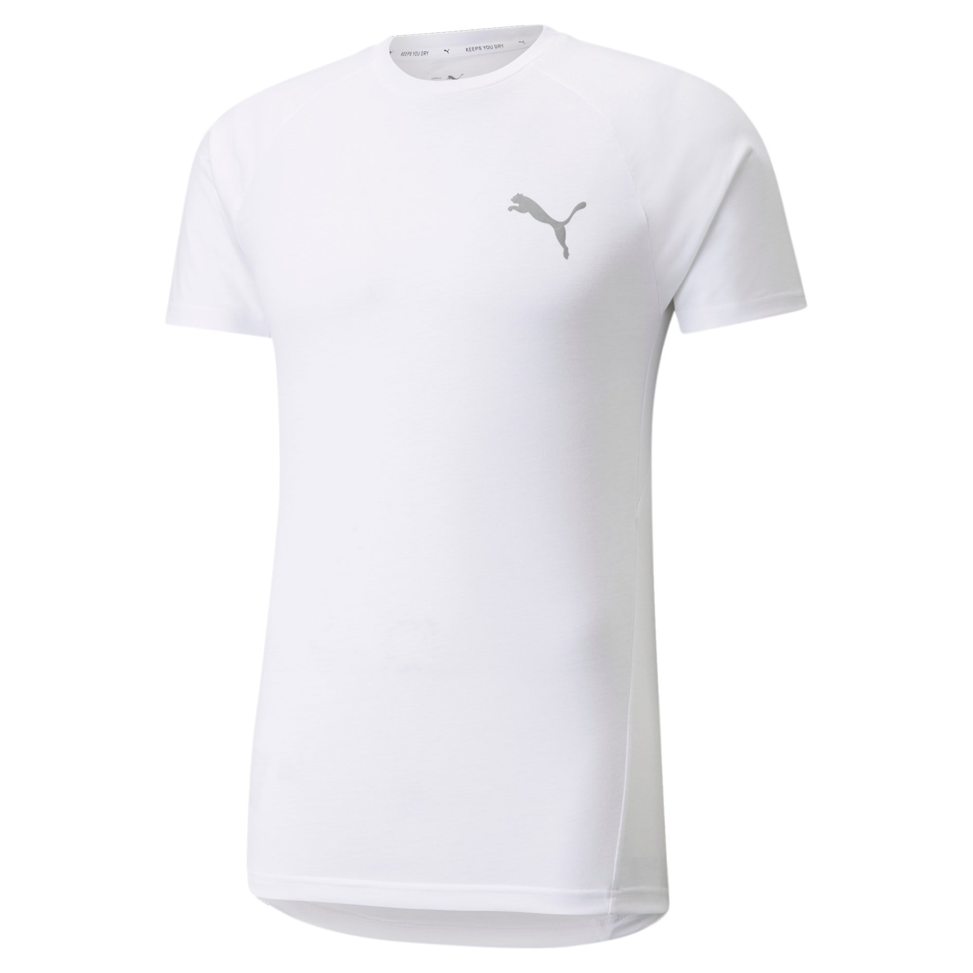Puma Evostripe Short-Sleeve Erkek Tişört