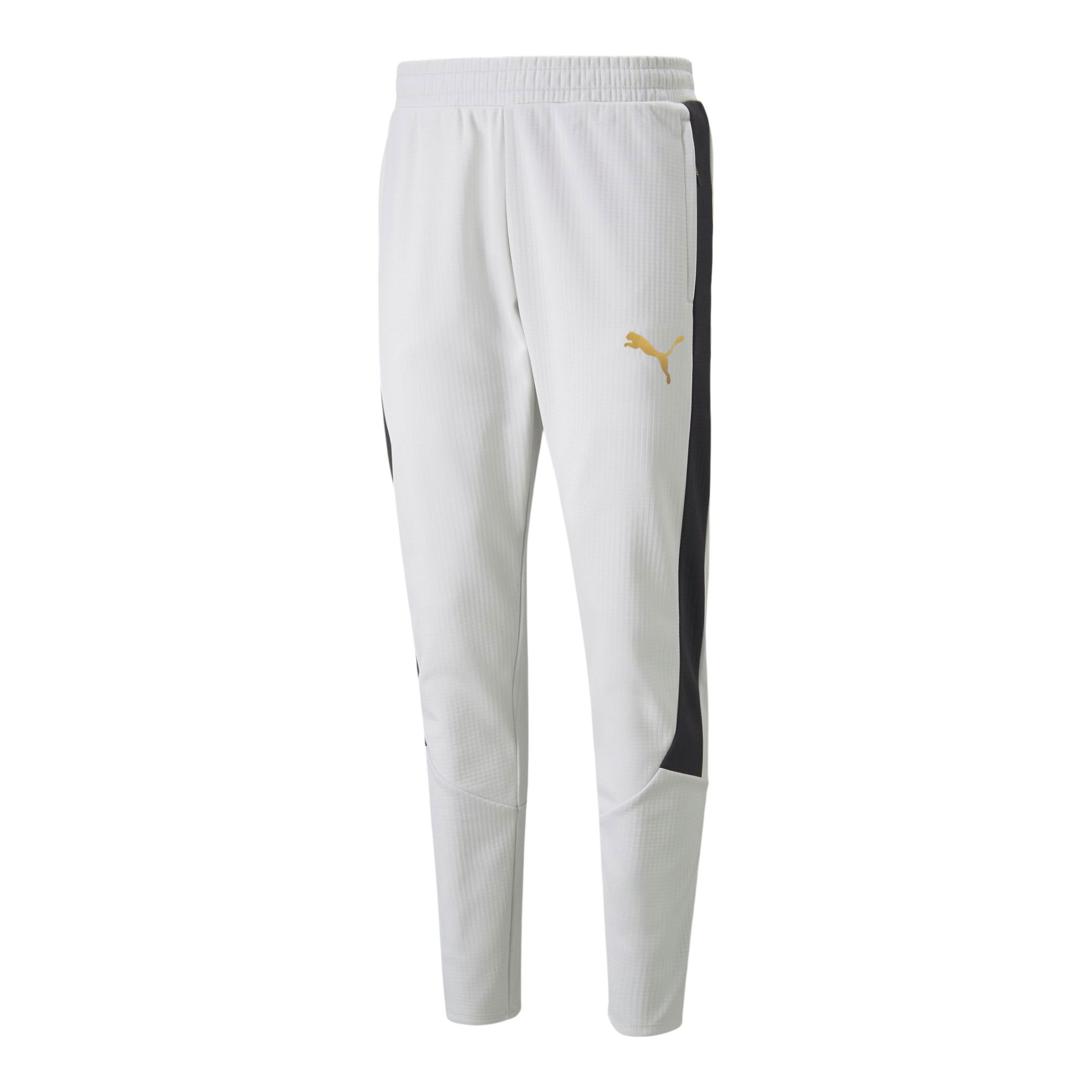 Puma Sportswear Evostripe Warm Erkek Eşofman Altı