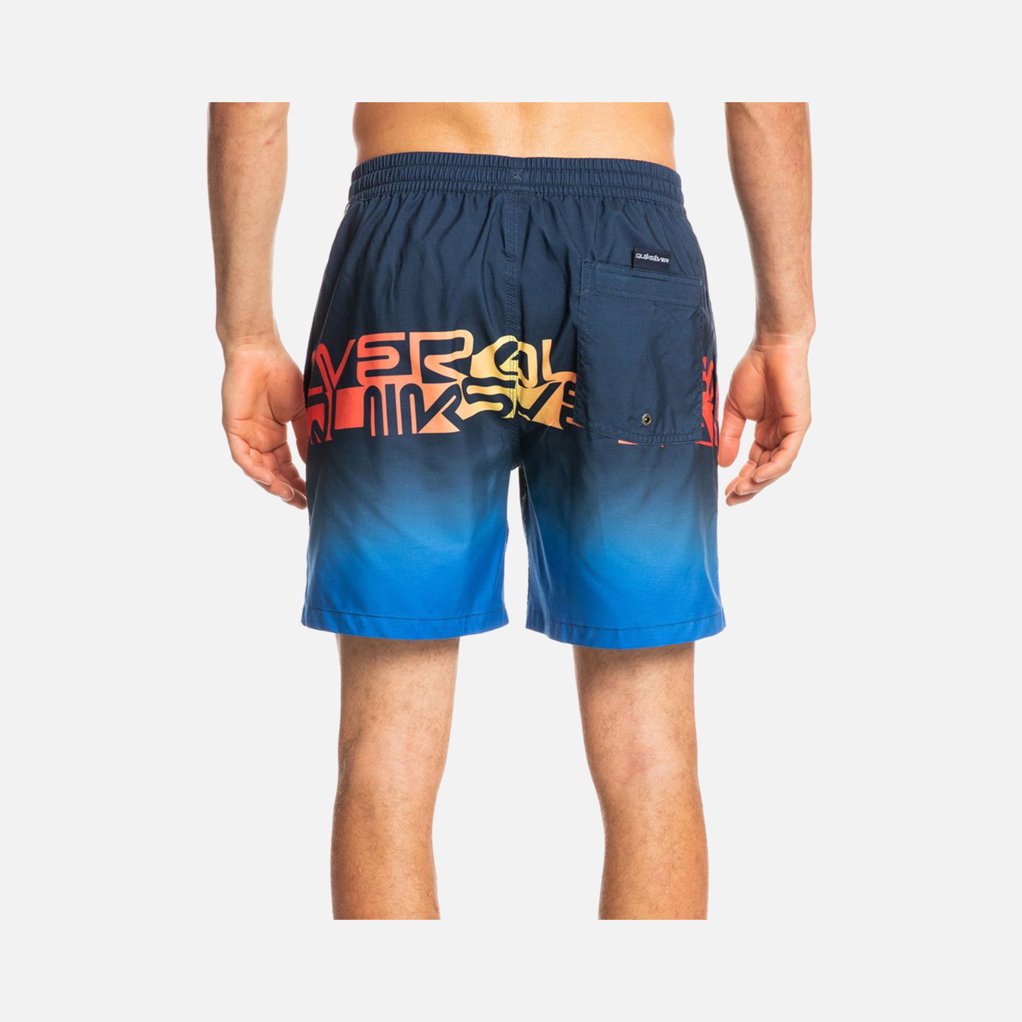 Quiksilver Wordblock 17'' Erkek Şort Mayo