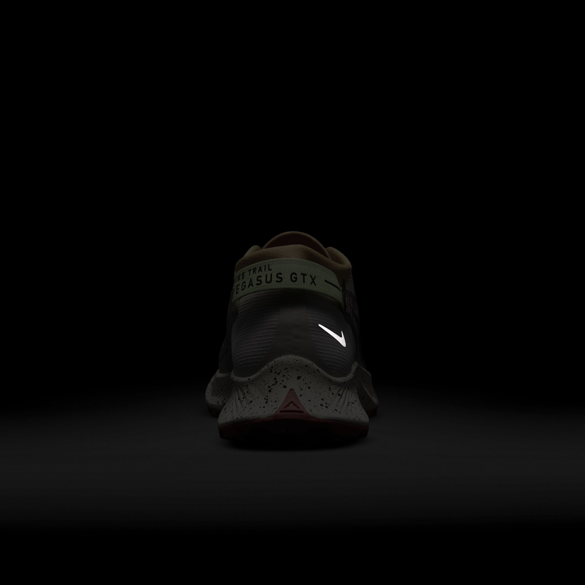 Nike Pegasus Trail 2 Gore-Tex Kadın Spor Ayakkabı