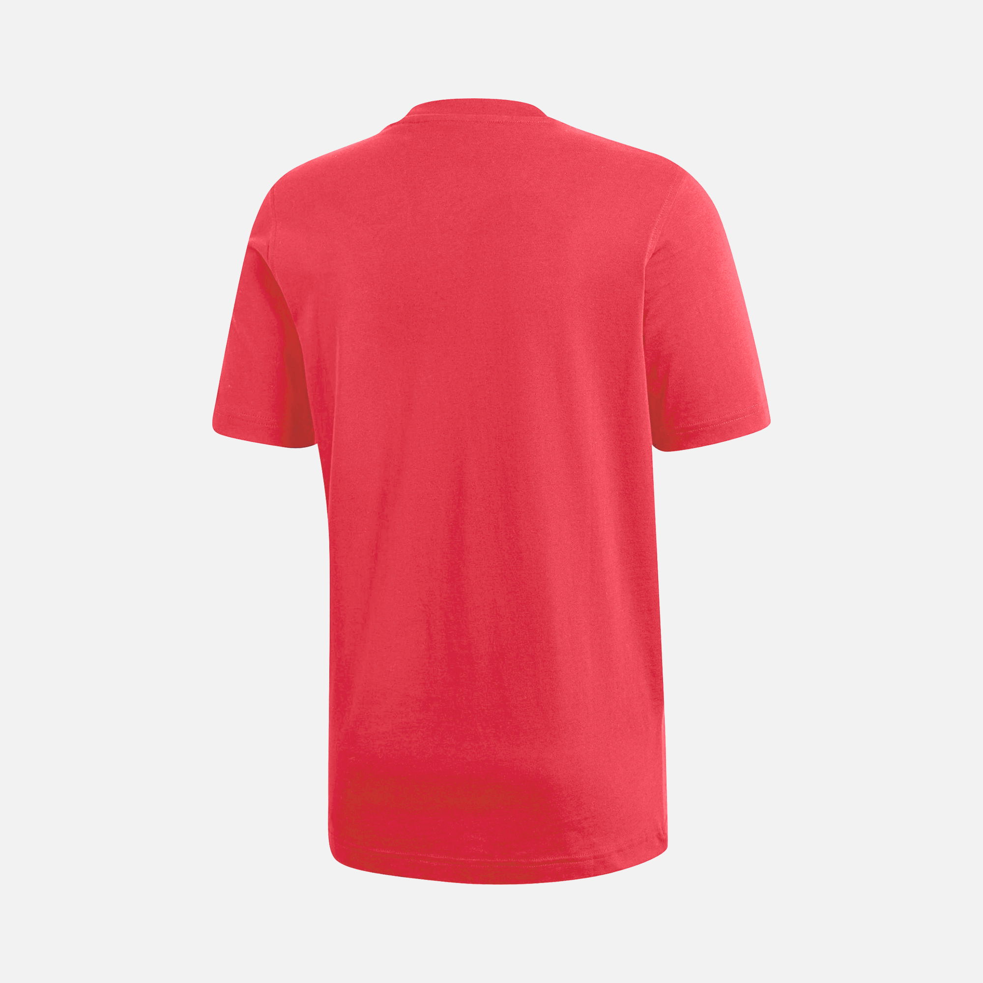 Barçın Basics Sportswear Crew Neck Short-Sleeve Erkek Tişört