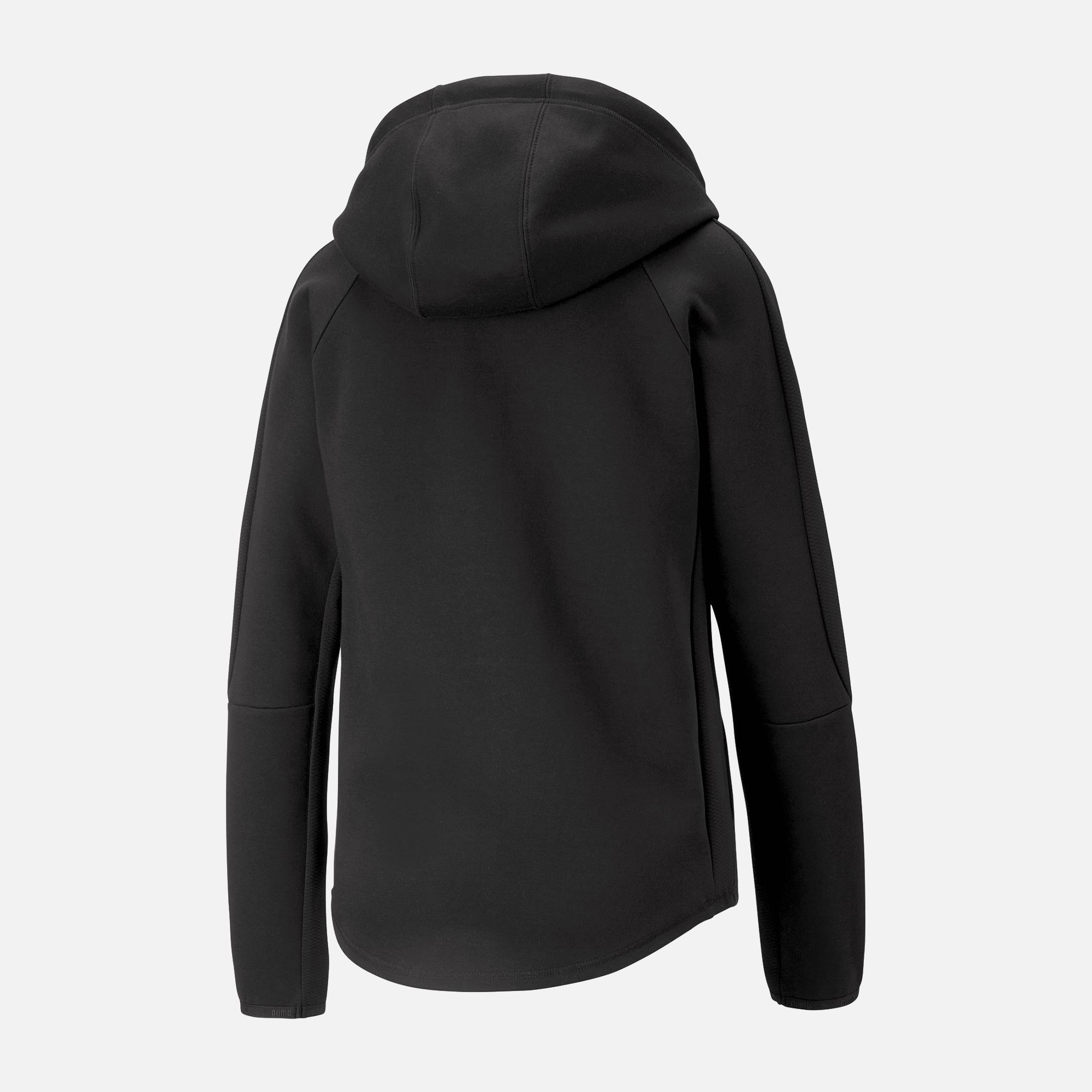 Puma Sportswear Evostripe SS23 Full-Zip Hoodie Kadın Sweatshirt