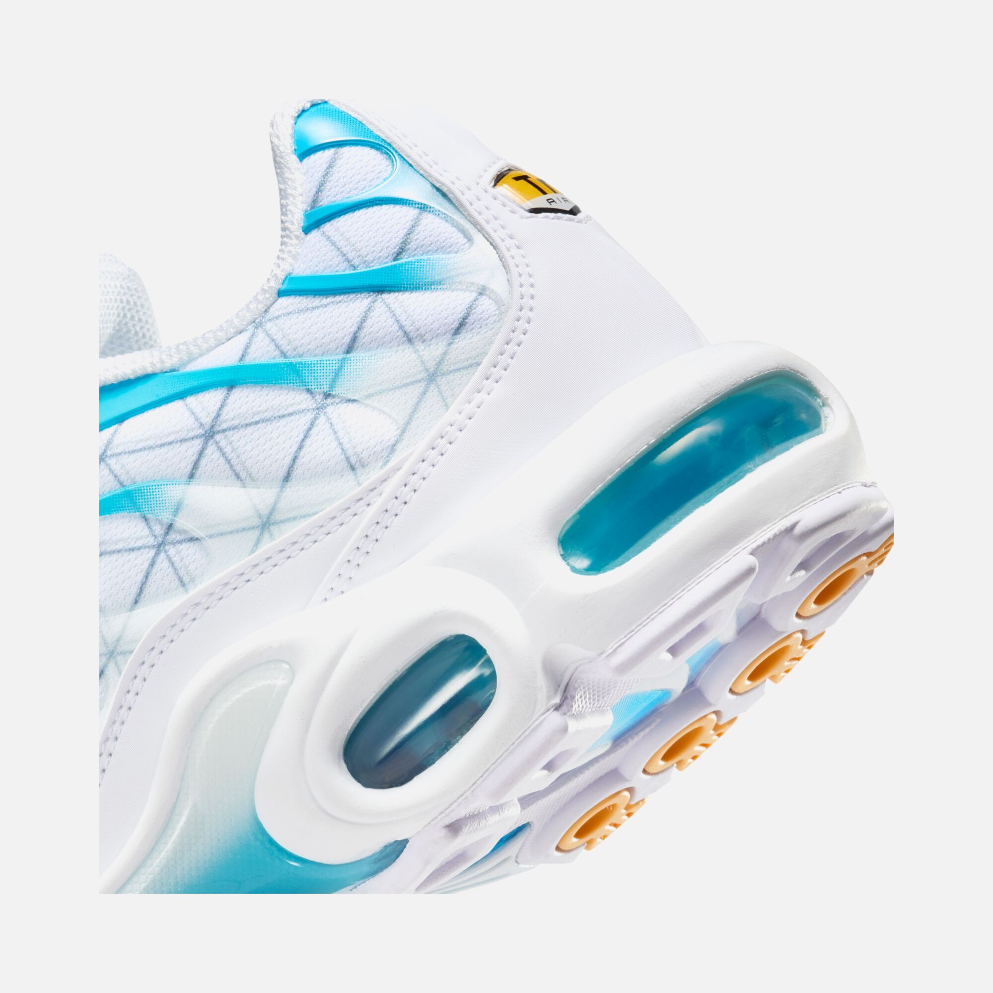 Nike Air Max Plus TN FW23 Erkek Spor Ayakkabı