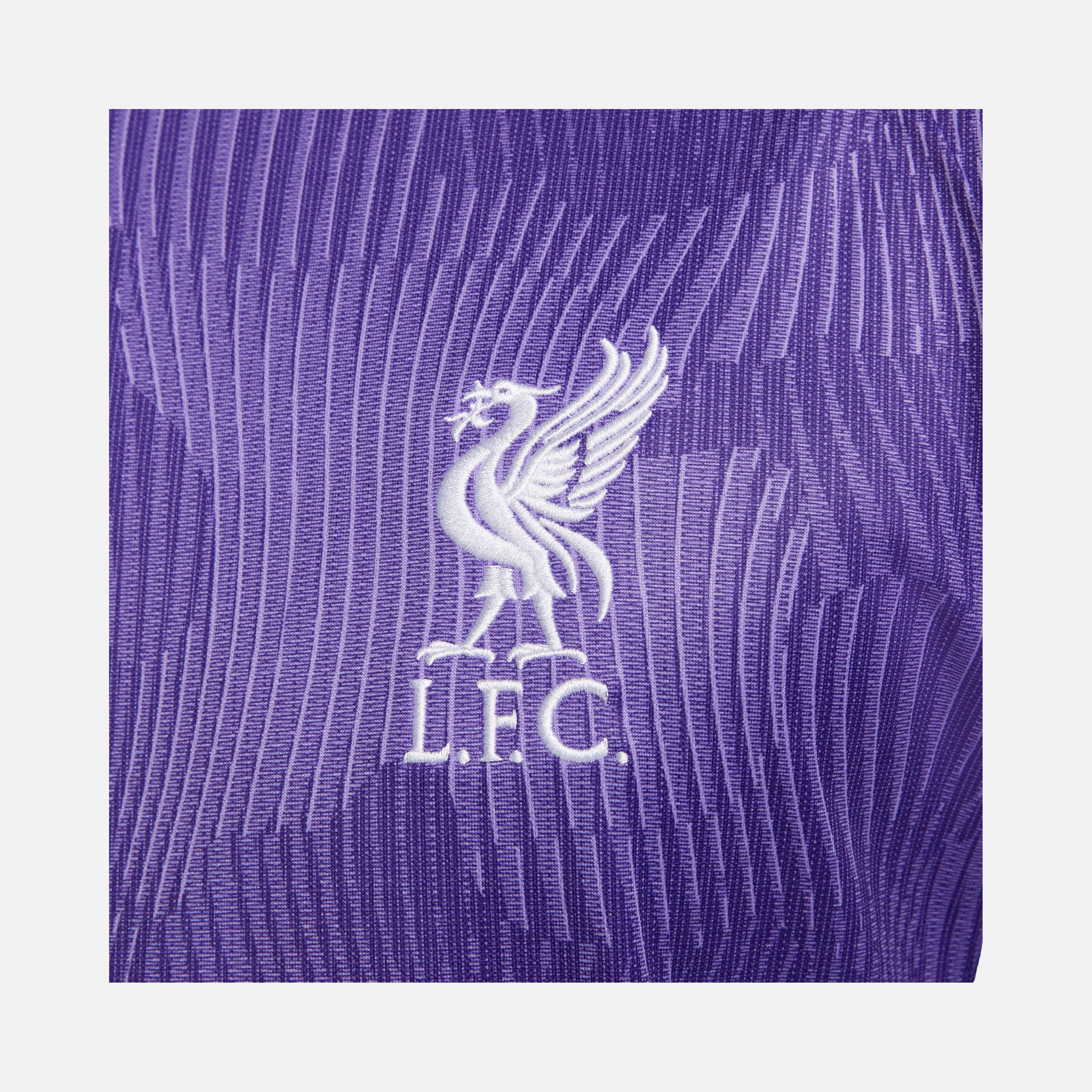 Nike FC Liverpool 2023-2024 Stadyum Üçüncü Takım Erkek Forma