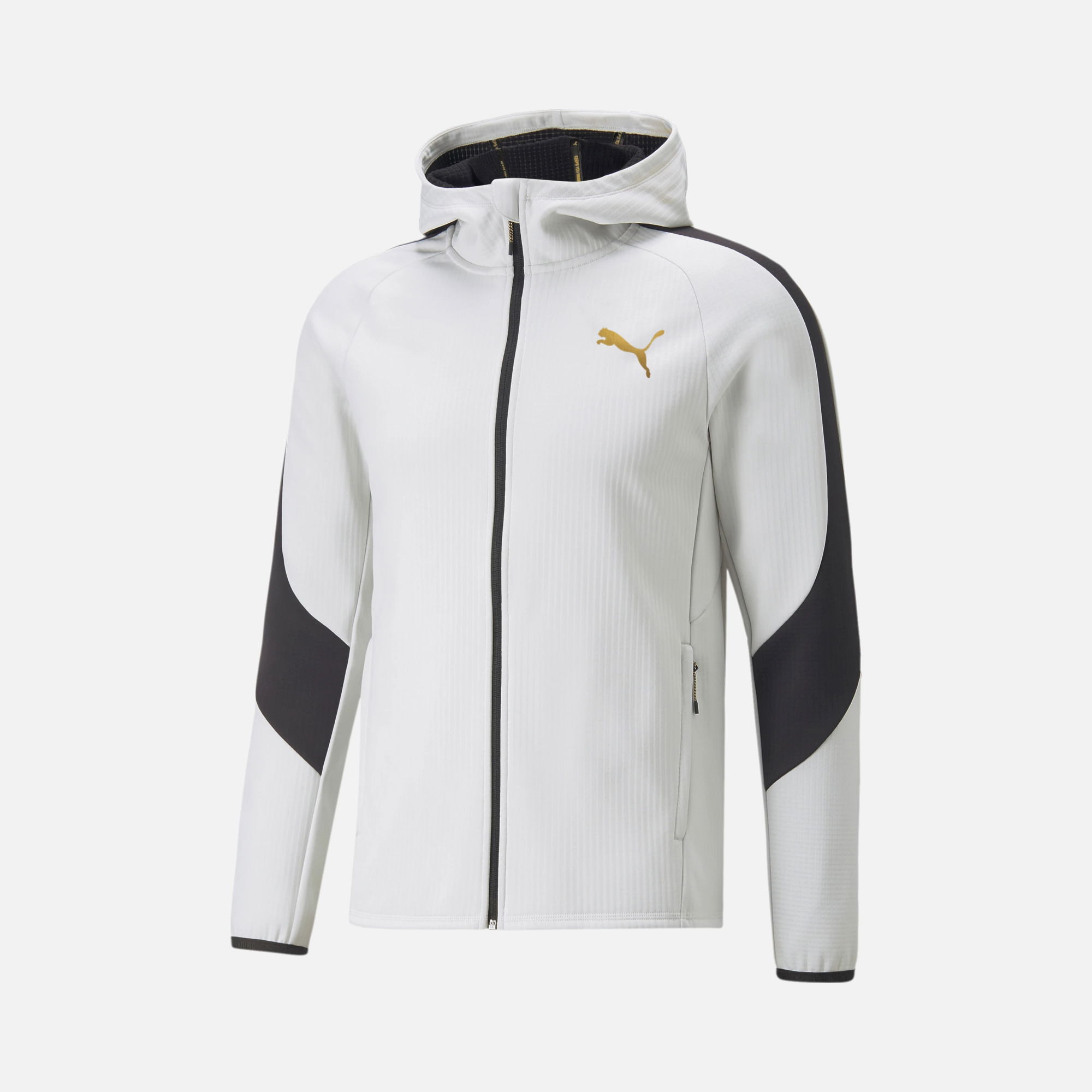 Puma Sportswear Evostripe Warm Full-Zip Hoodie Erkek Sweatshirt