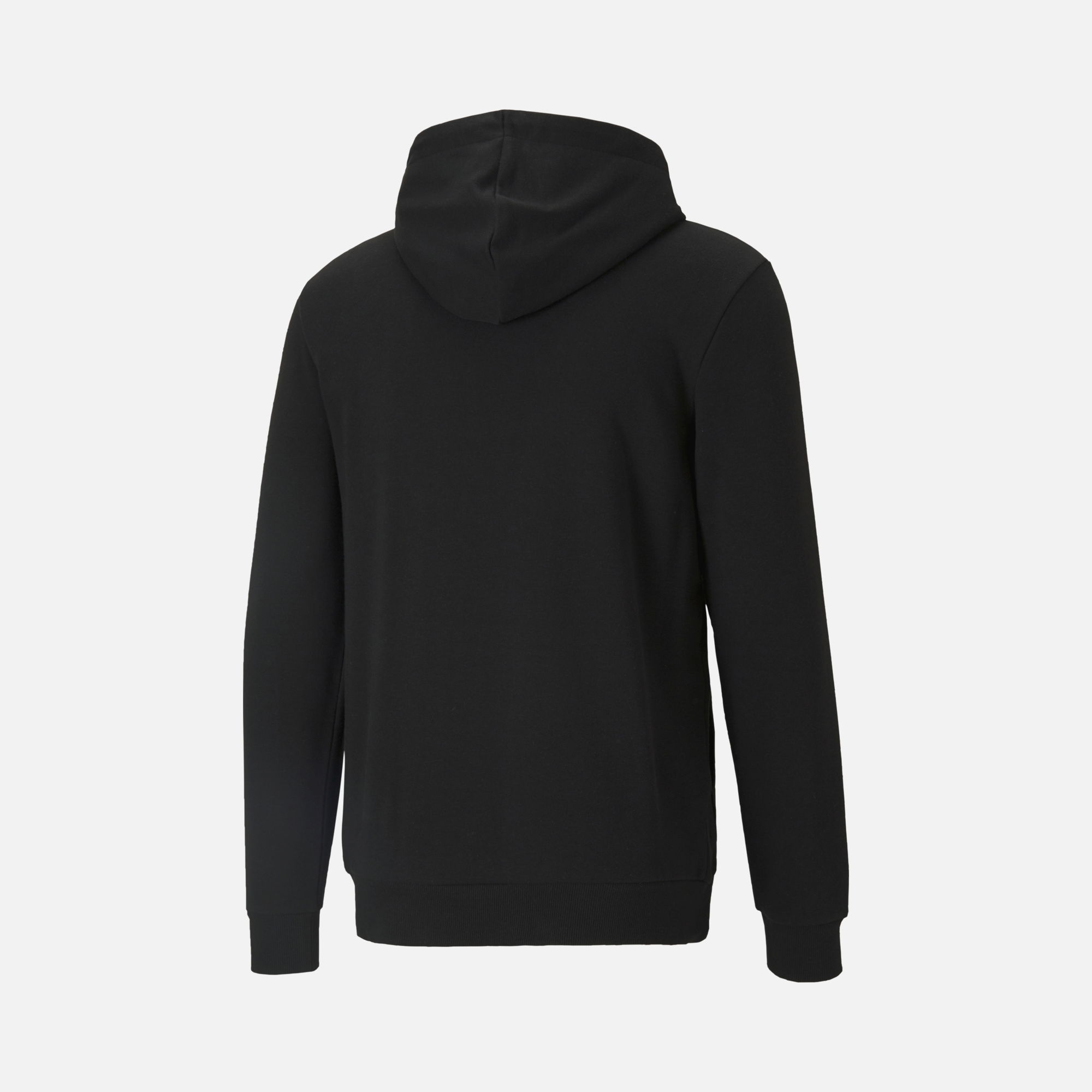 Puma Essentials Big Logo Hoodie Erkek Sweatshirt