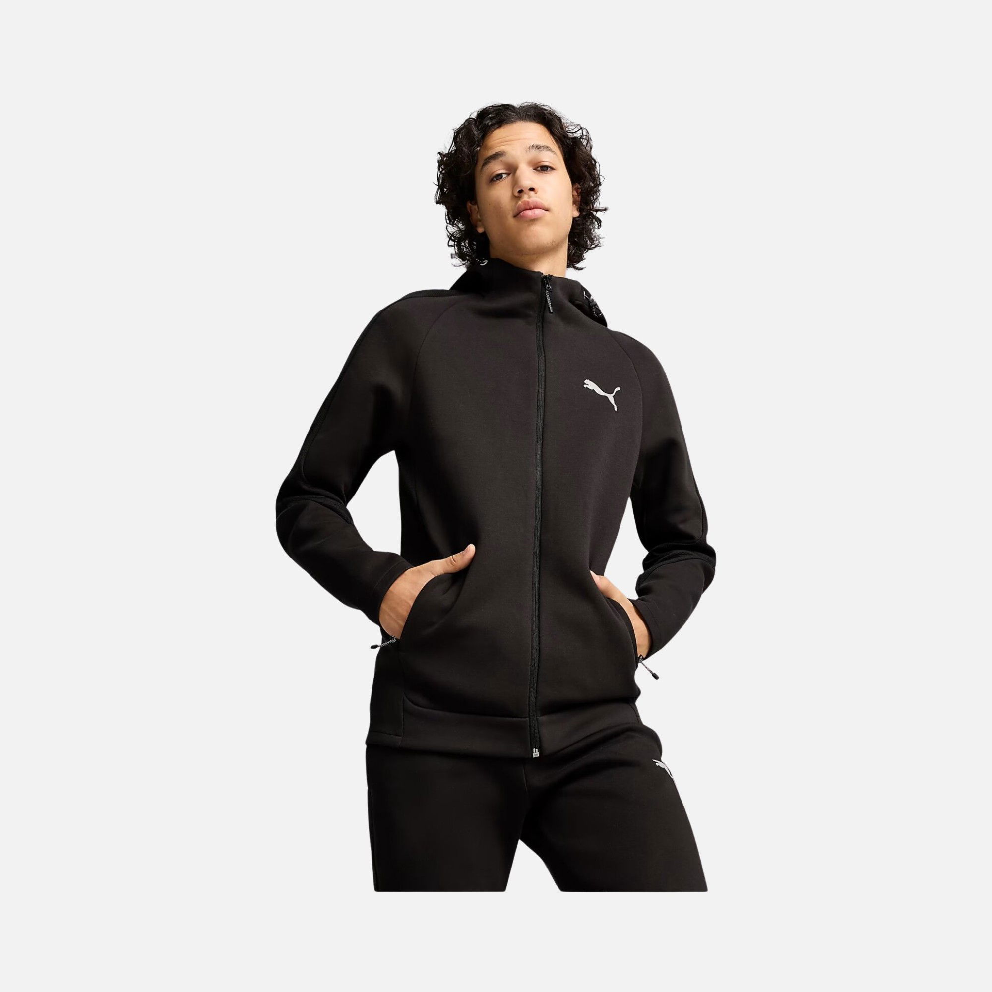 Puma Sportswear Evostripe Full-Zip Hoodie FW24 Erkek Sweatshirt