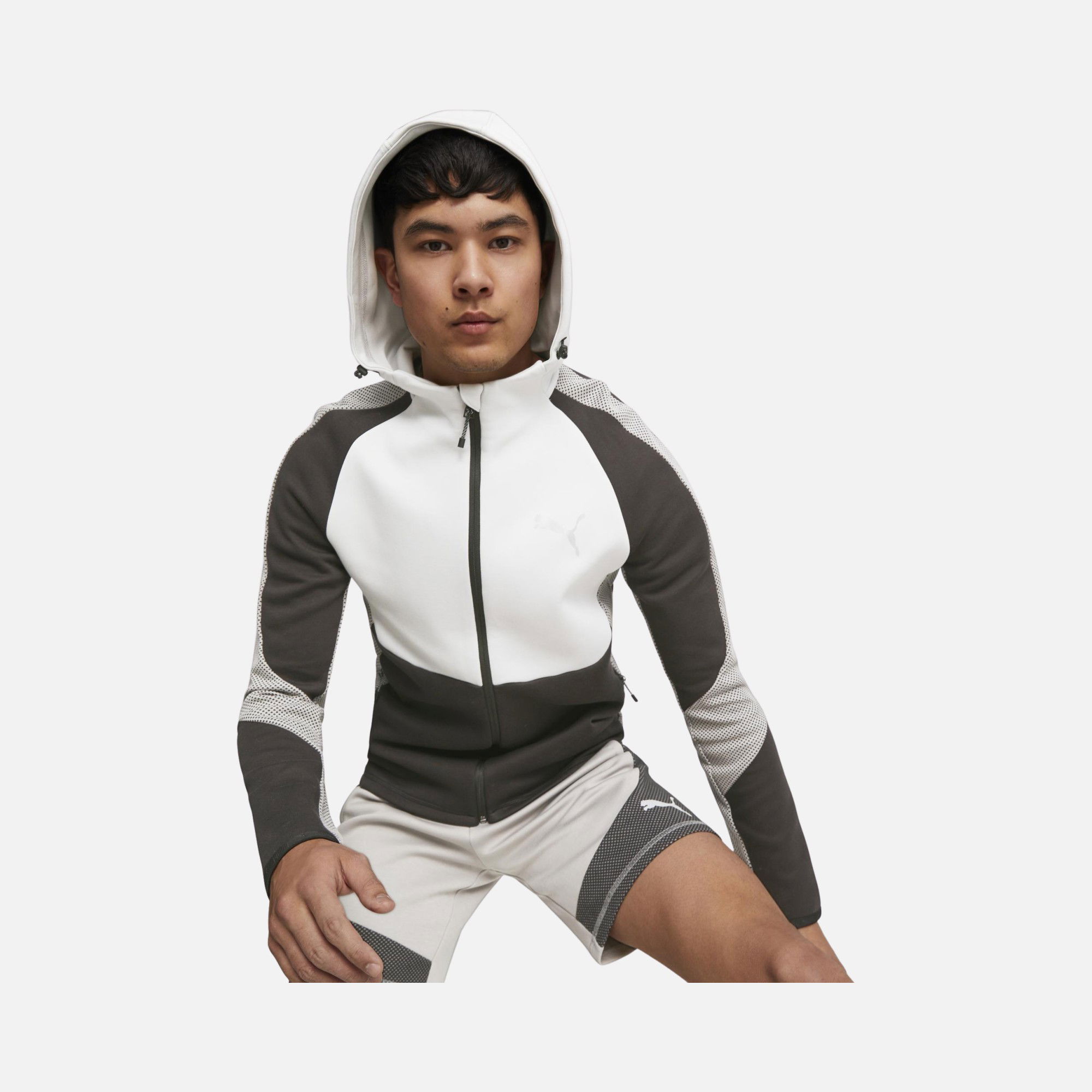 Puma Sportwear Evostripe Full-Zip Hoodie Erkek Sweatshirt