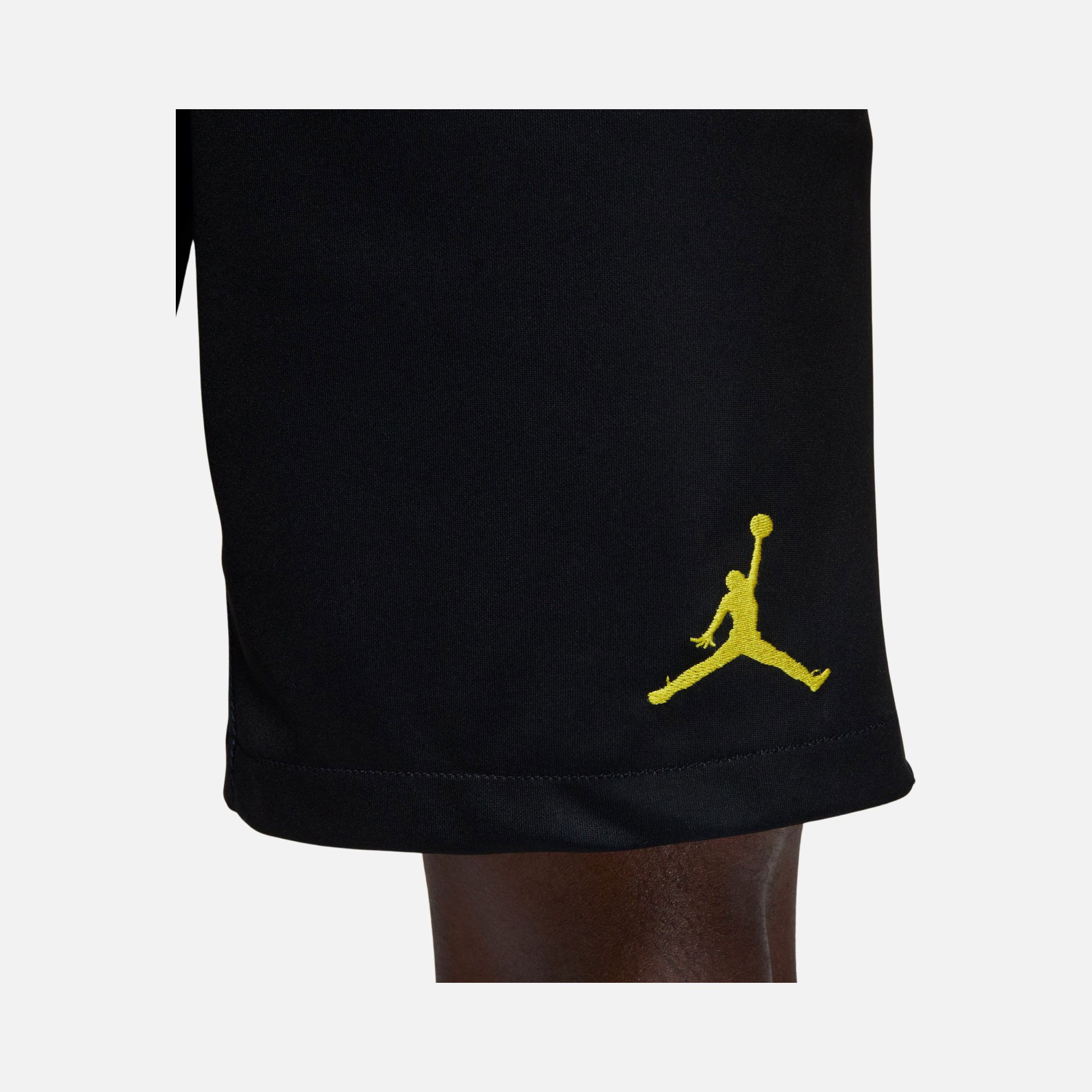 Nike Paris Saint-Germain 2022 - 2023 Stadium Fourth Erkek Şort