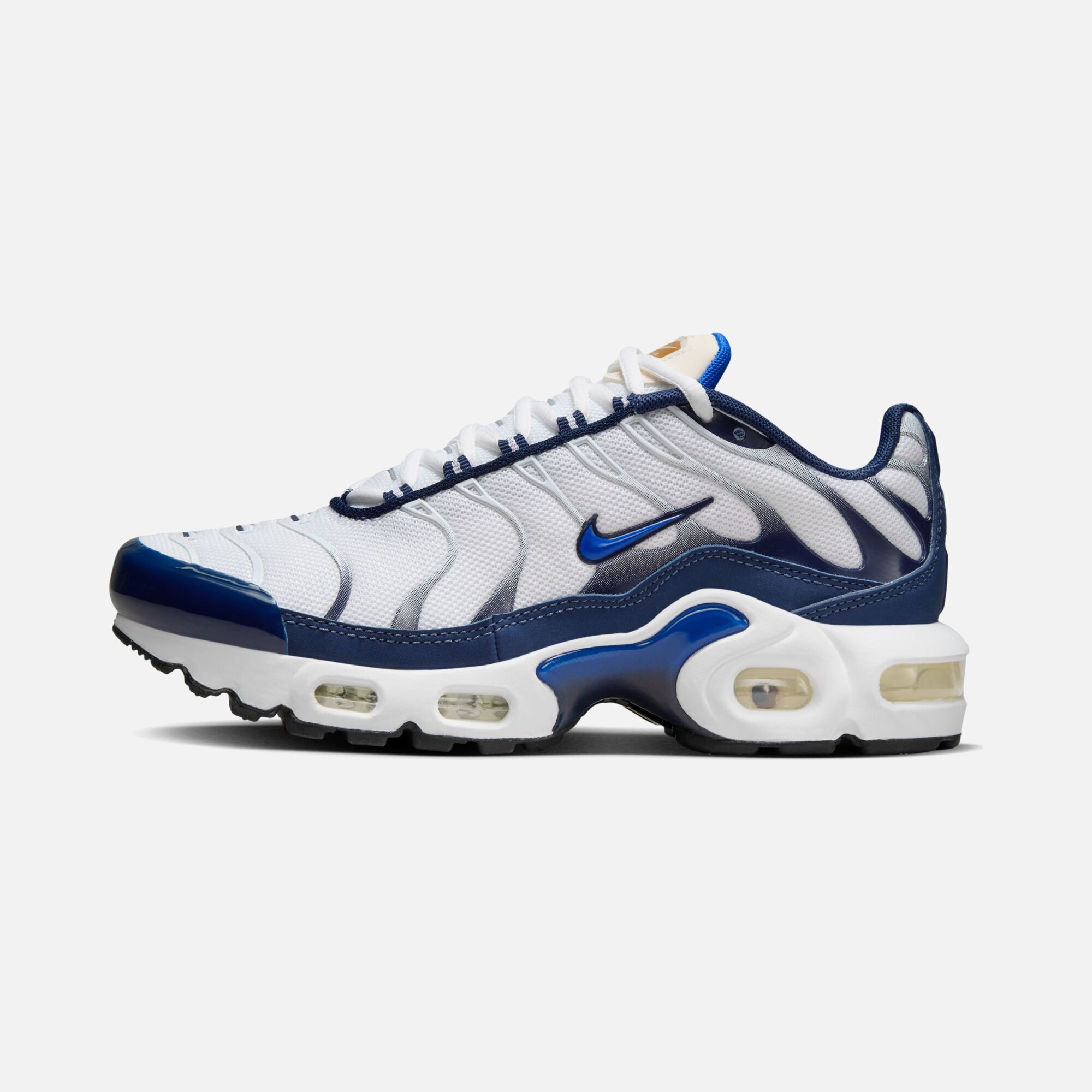 Nike Air Max Plus (GS) Spor Ayakkabı