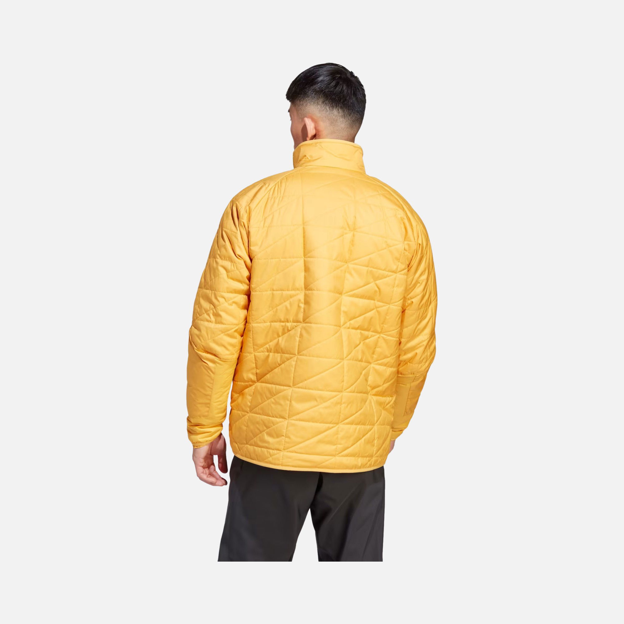 adidas Terrex Multi Insulation Full-Zip Hoodie Erkek Ceket