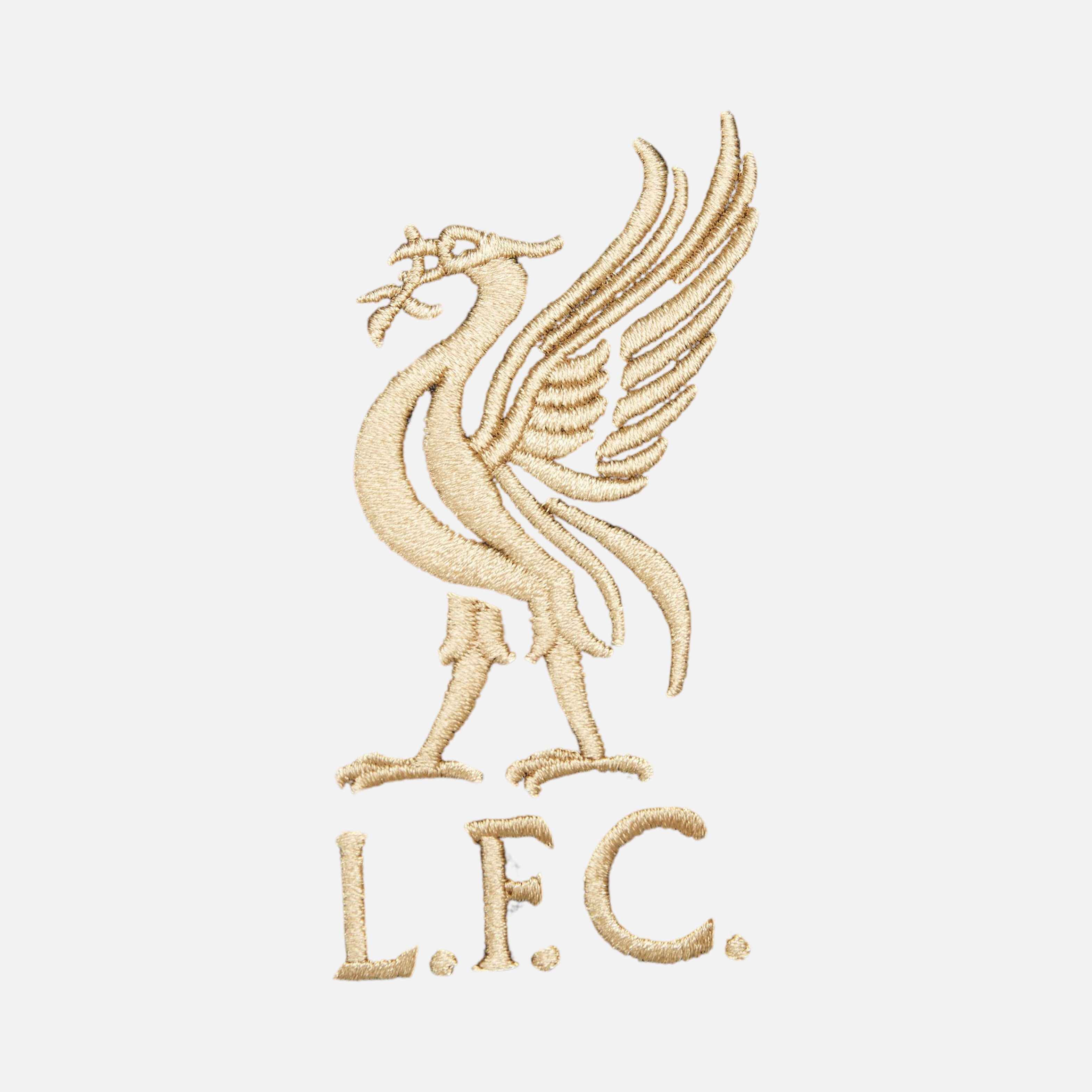 Nike Liverpool F.C. x LeBron James Dri-Fit Stadium Erkek Forma