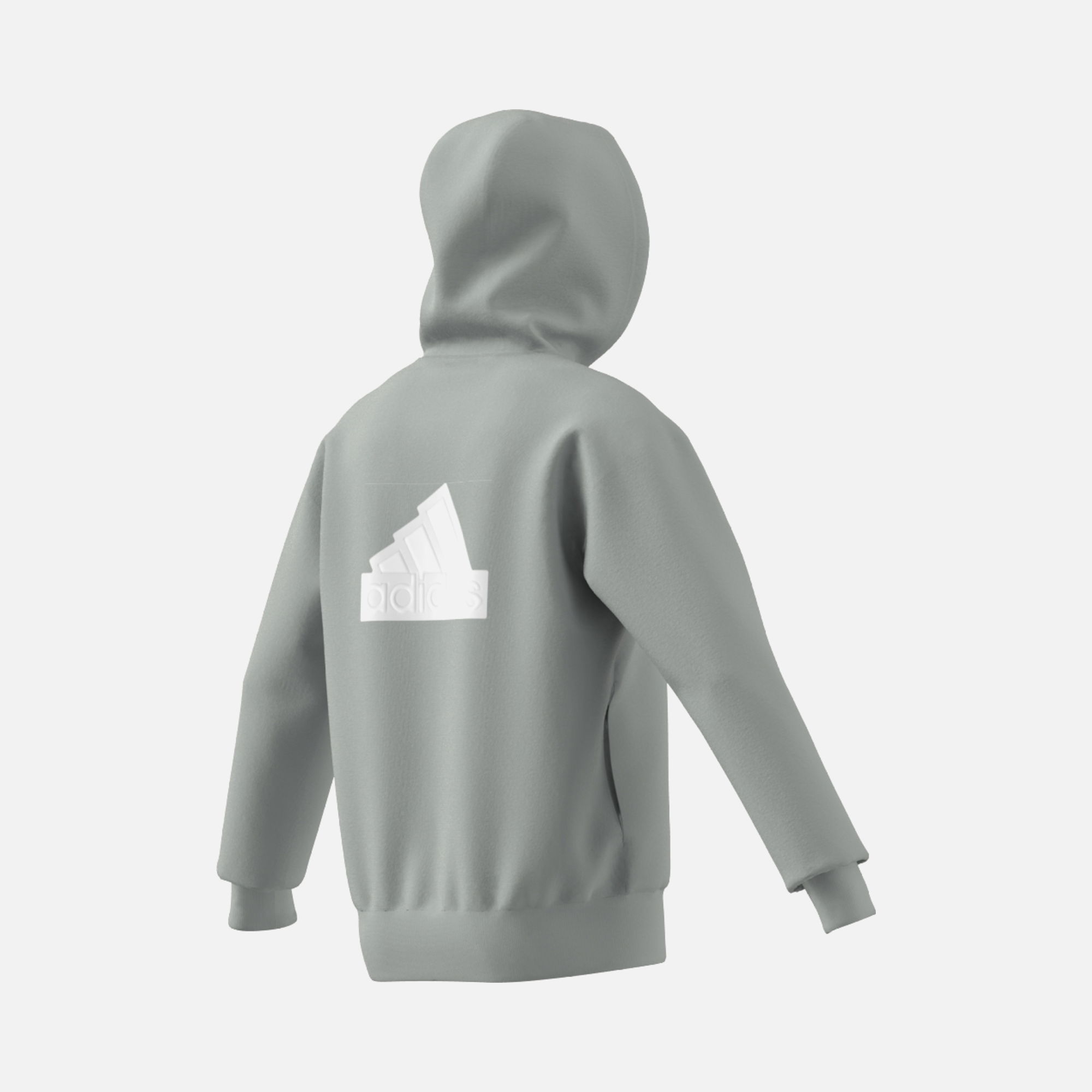 adidas Sportswear Future Icons Badge of Sport Full-Zip Hoodie Erkek Sweatshirt