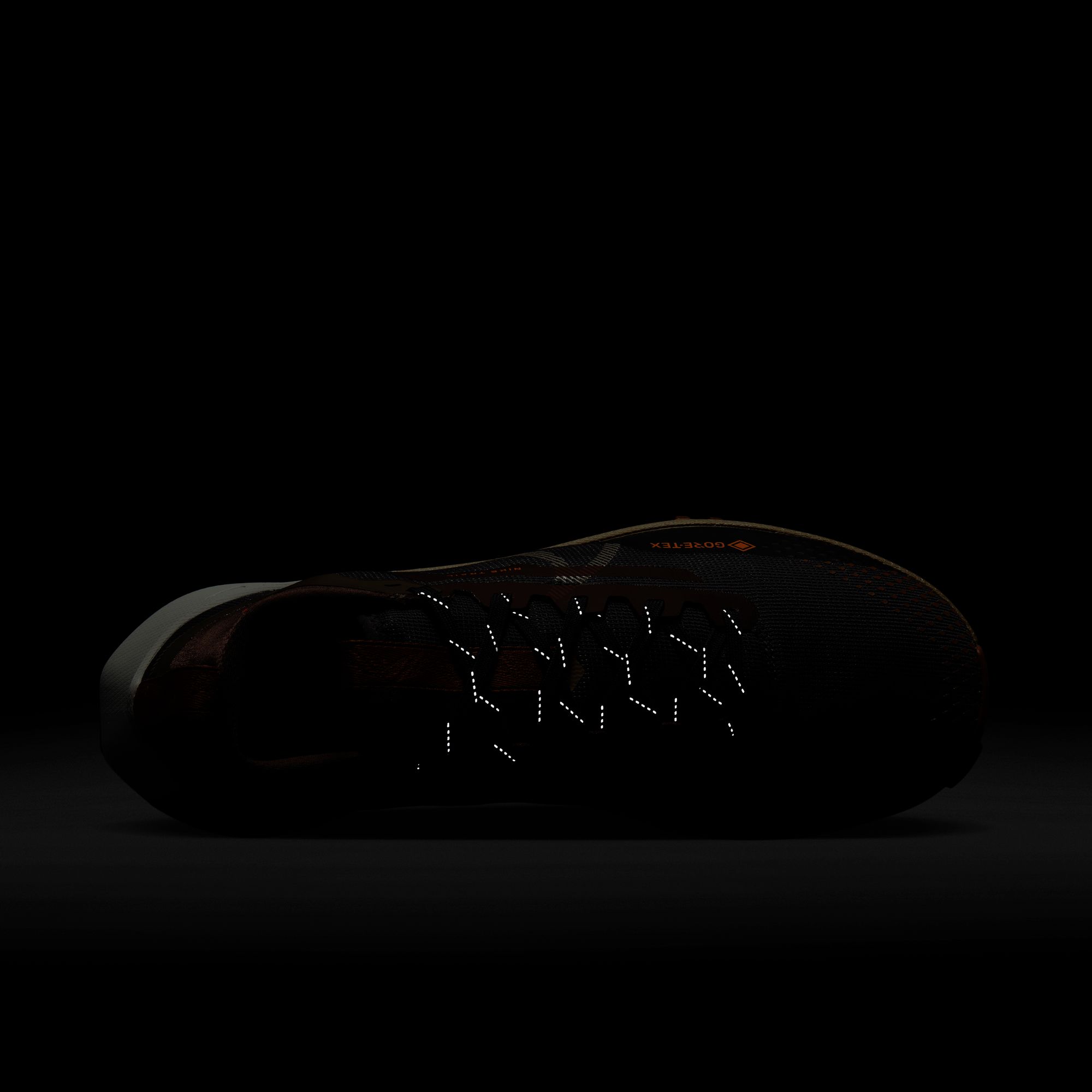 Nike Pegasus Trail 4 Gore-Tex Road Running Erkek Spor Ayakkabı