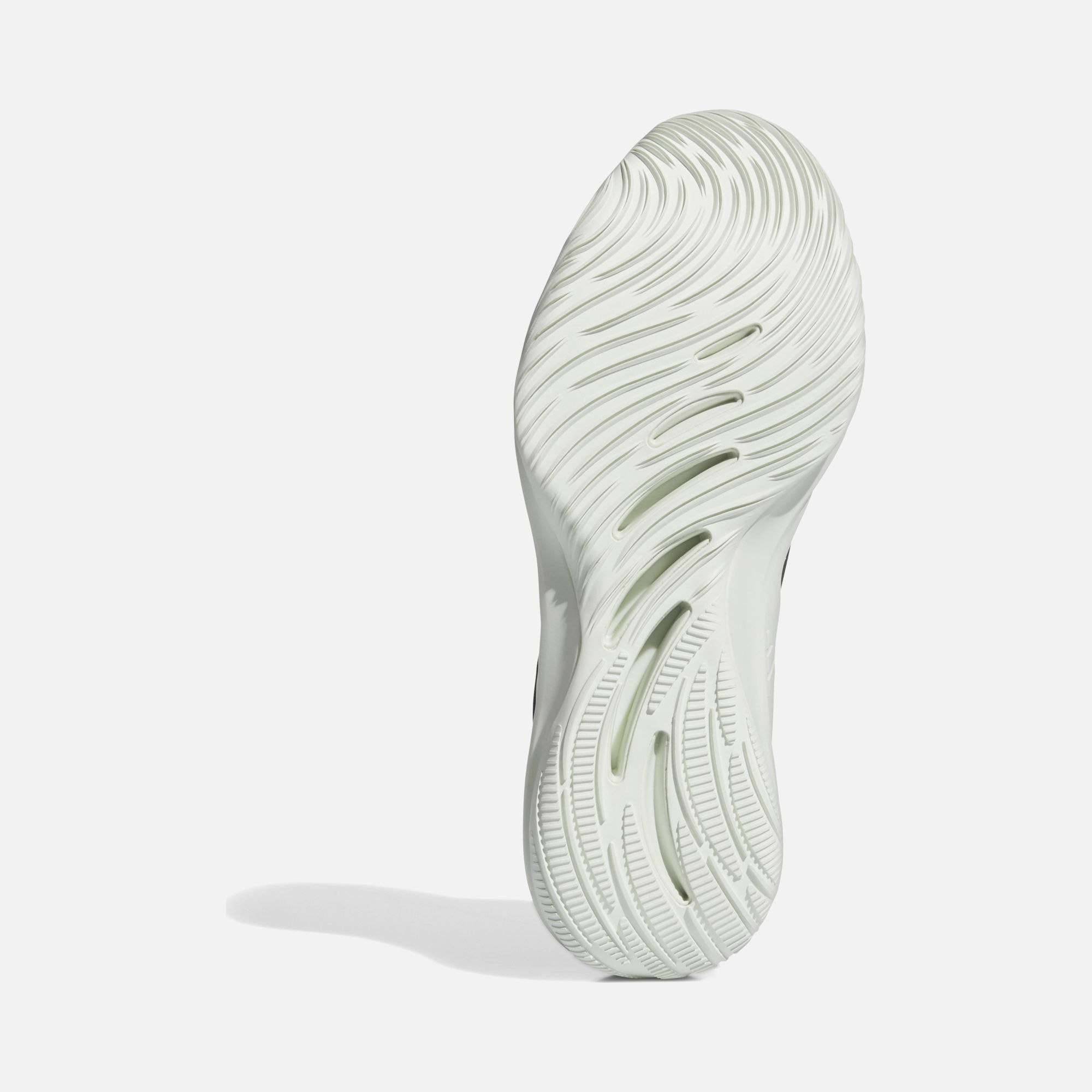 adidas Adizero Select 2.0 Erkek Basketball Ayakkabısı