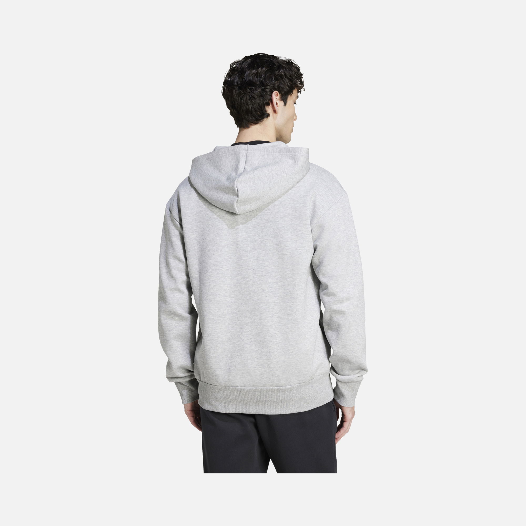 adidas Sportswear Future Icons Doubleknit FW24 Full-Zip Hoodie Erkek Sweatshirt