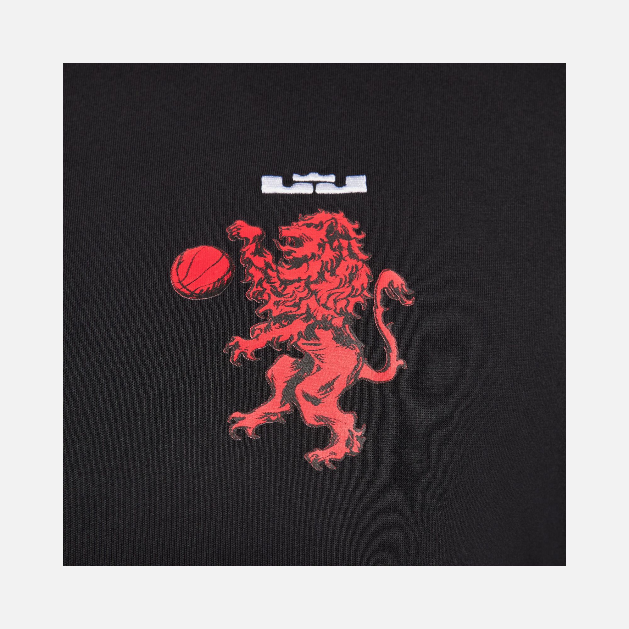 Nike LeBron James M90 Short-Sleeve Erkek Tişört