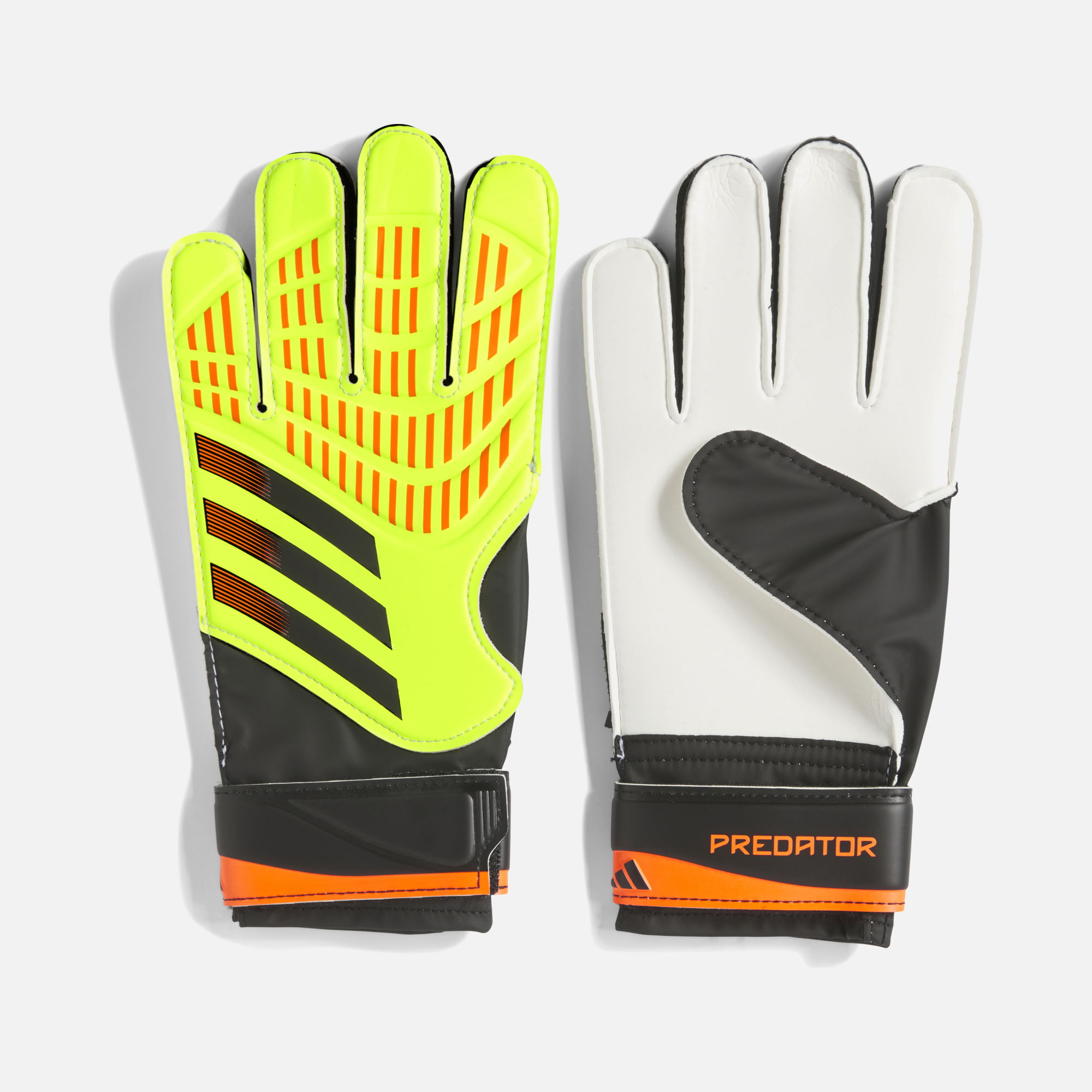 adidas Predator Training SS24 Unisex Kaleci Eldiveni