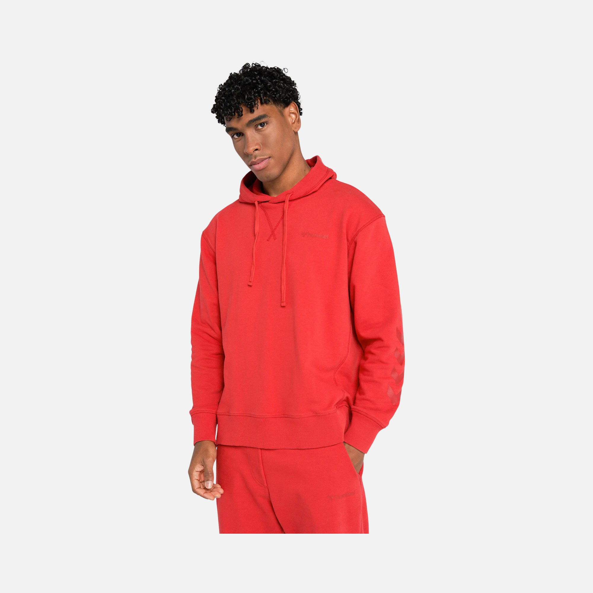 Hummel Sportswear Miro Hoodie Erkek Sweatshirt