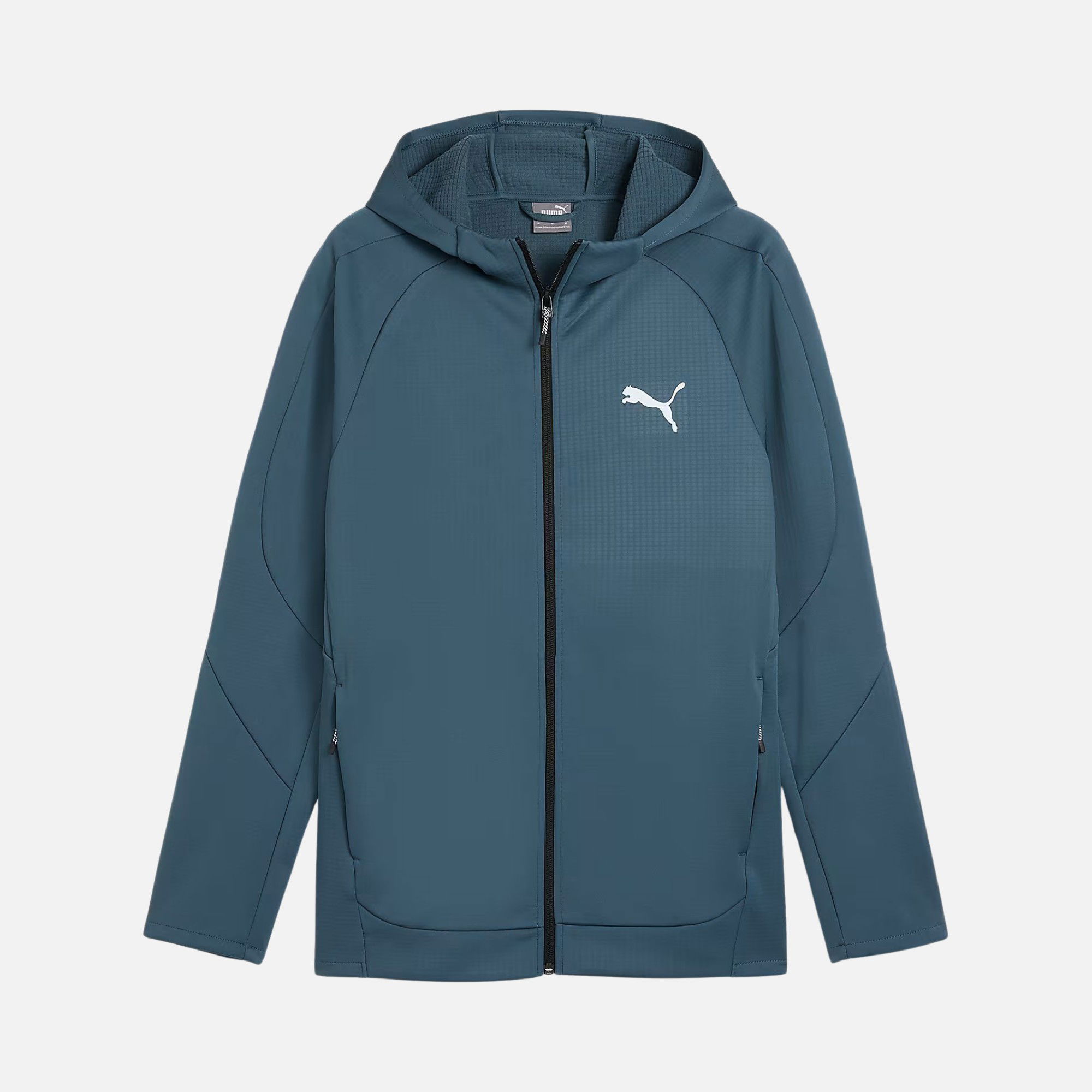 Puma Sportswear Evostripe FW24 Full-Zip Hoodie Erkek Sweatshirt