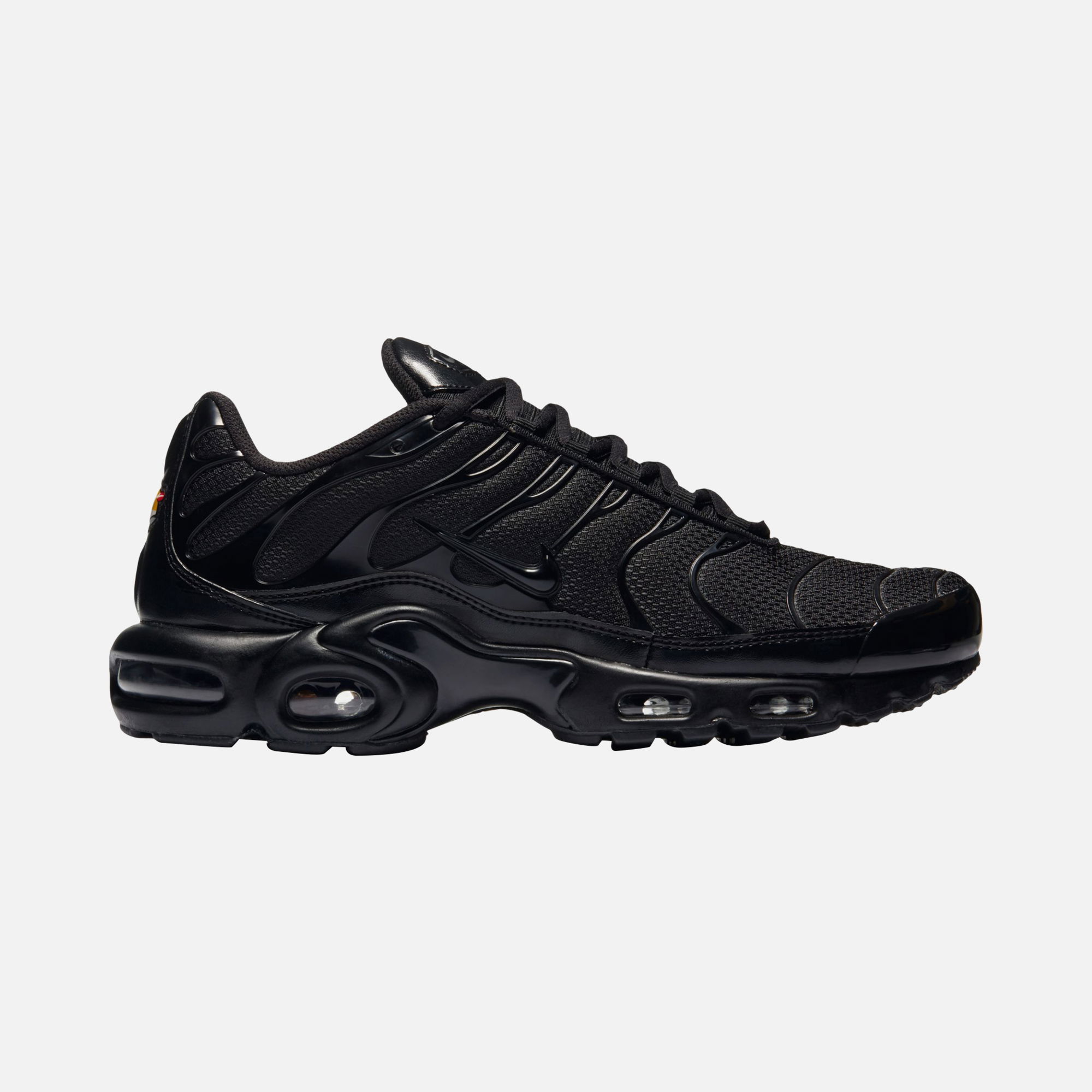 Nike Air Max Plus CO Erkek Spor Ayakkabı