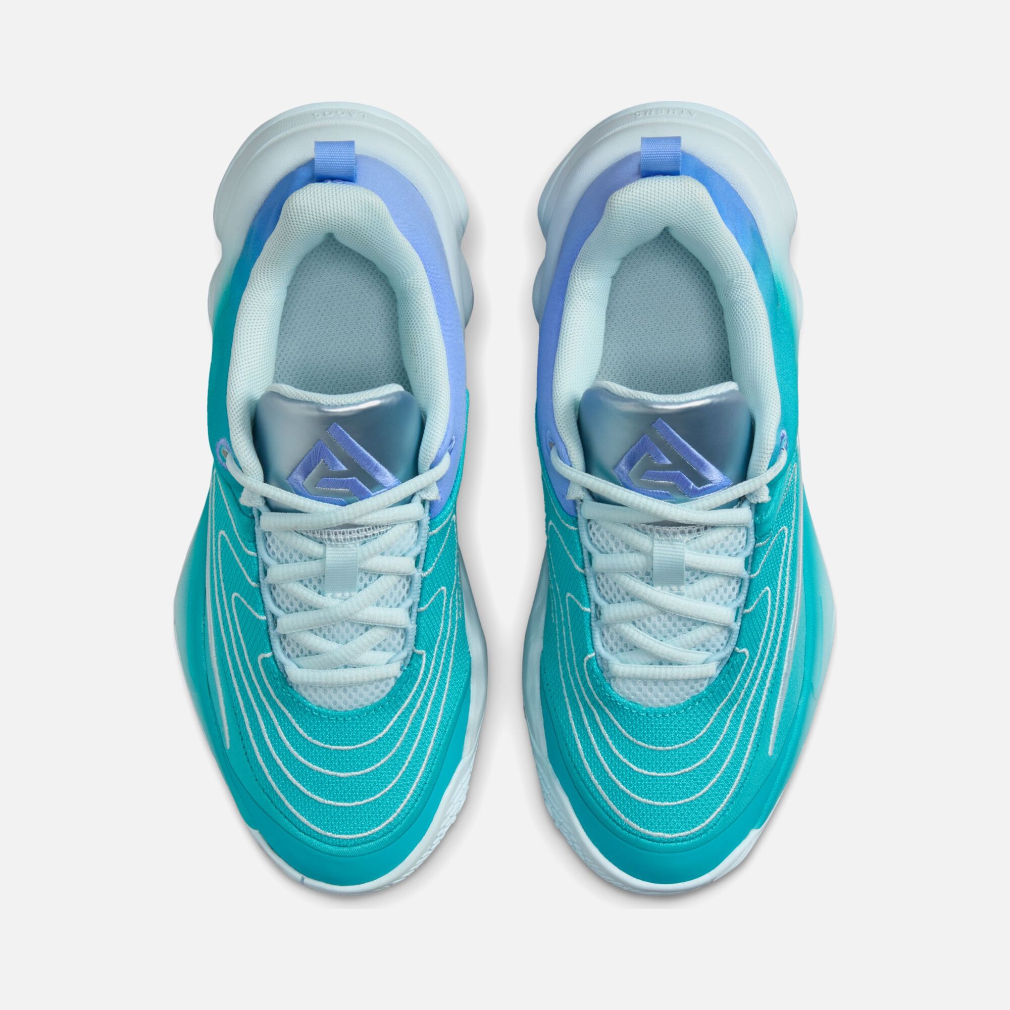 Nike Giannis Antetokounmpo Immortality 4 (GS) Basketbol Ayakkabısı