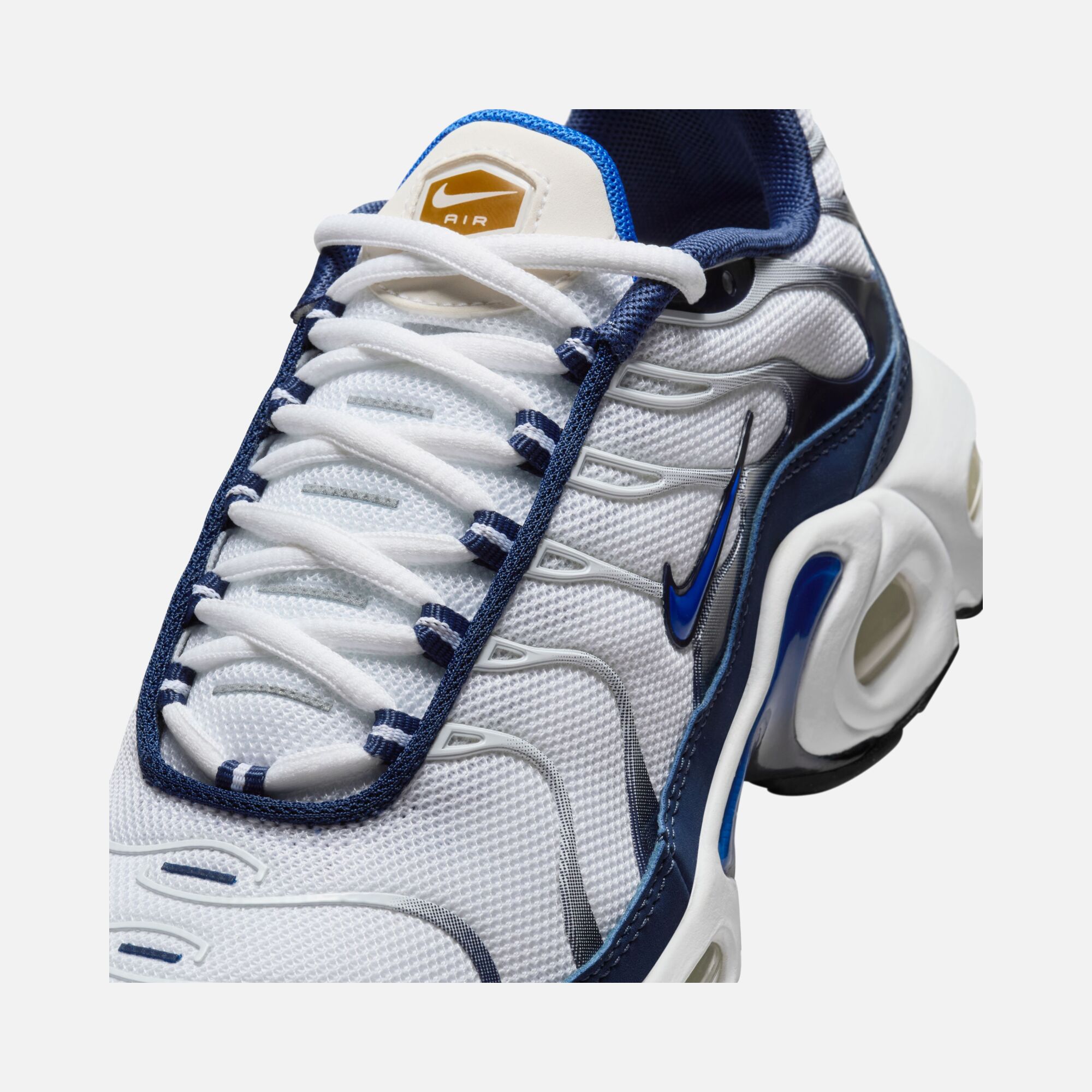 Nike Air Max Plus (GS) Spor Ayakkabı