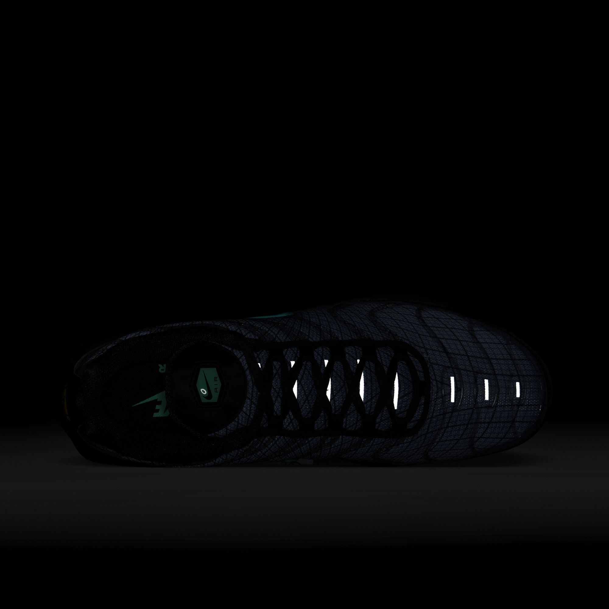 Nike Air Max Plus Sportswear Erkek Spor Ayakkabı