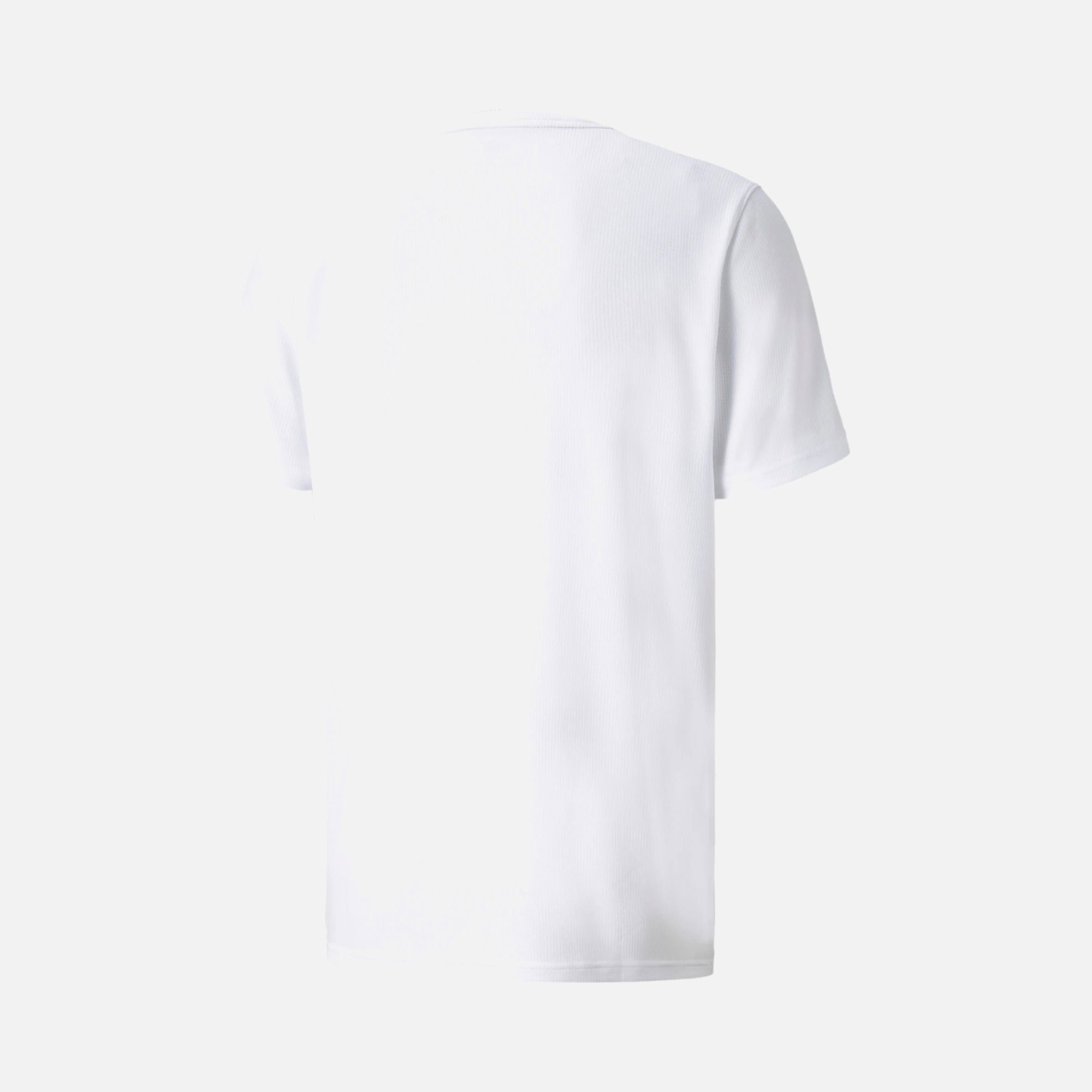 Puma Performance Training Short-Sleeve Erkek Tişört