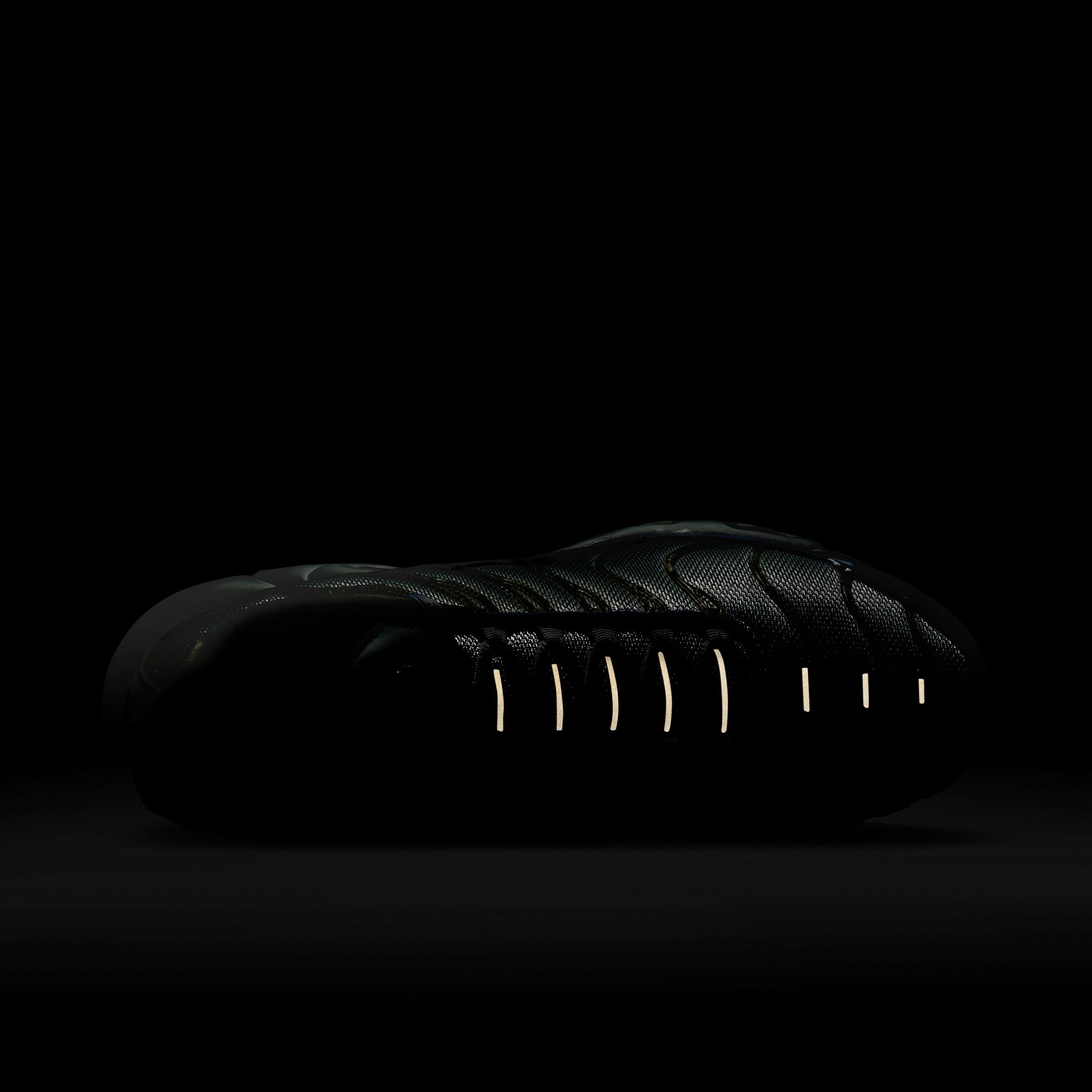 Nike Air Max Plus SE FW22 Erkek Spor Ayakkabı