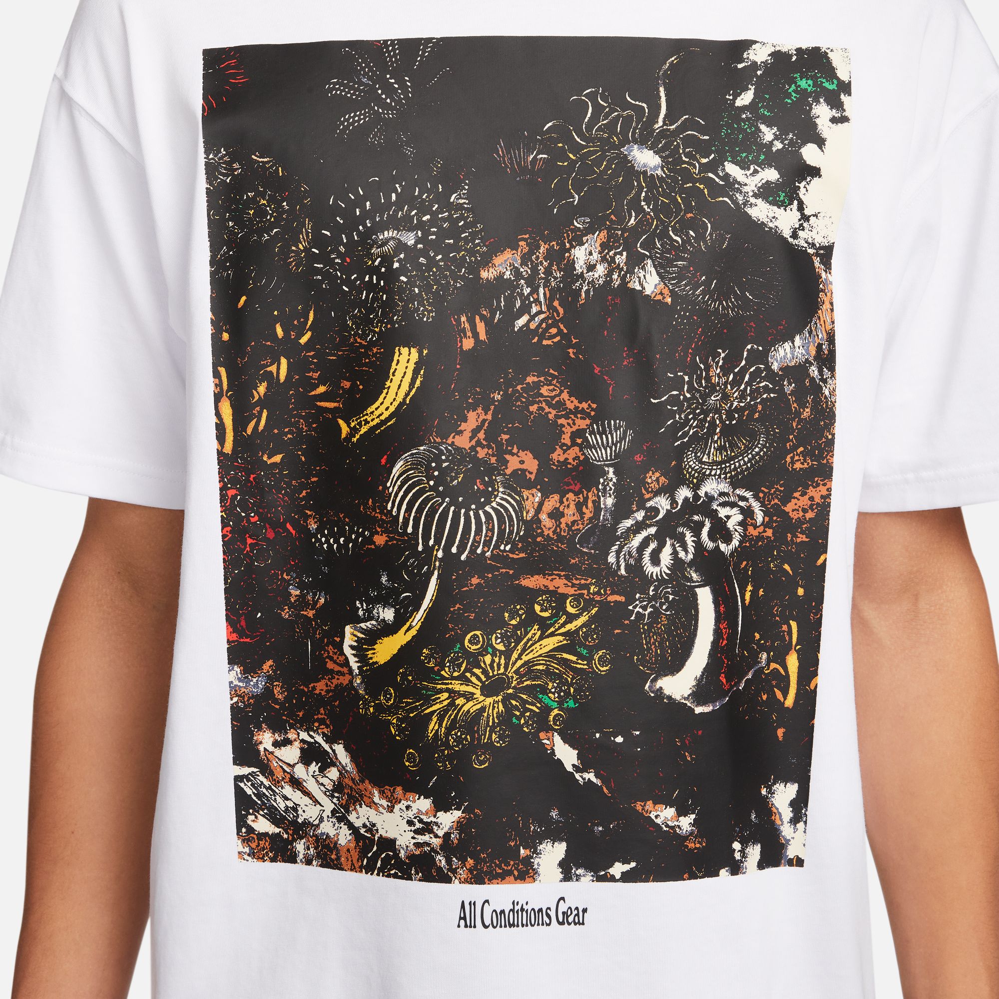 Nike Sportswear ACG Tidalpool Graphic Short-Sleeve Erkek Tişört