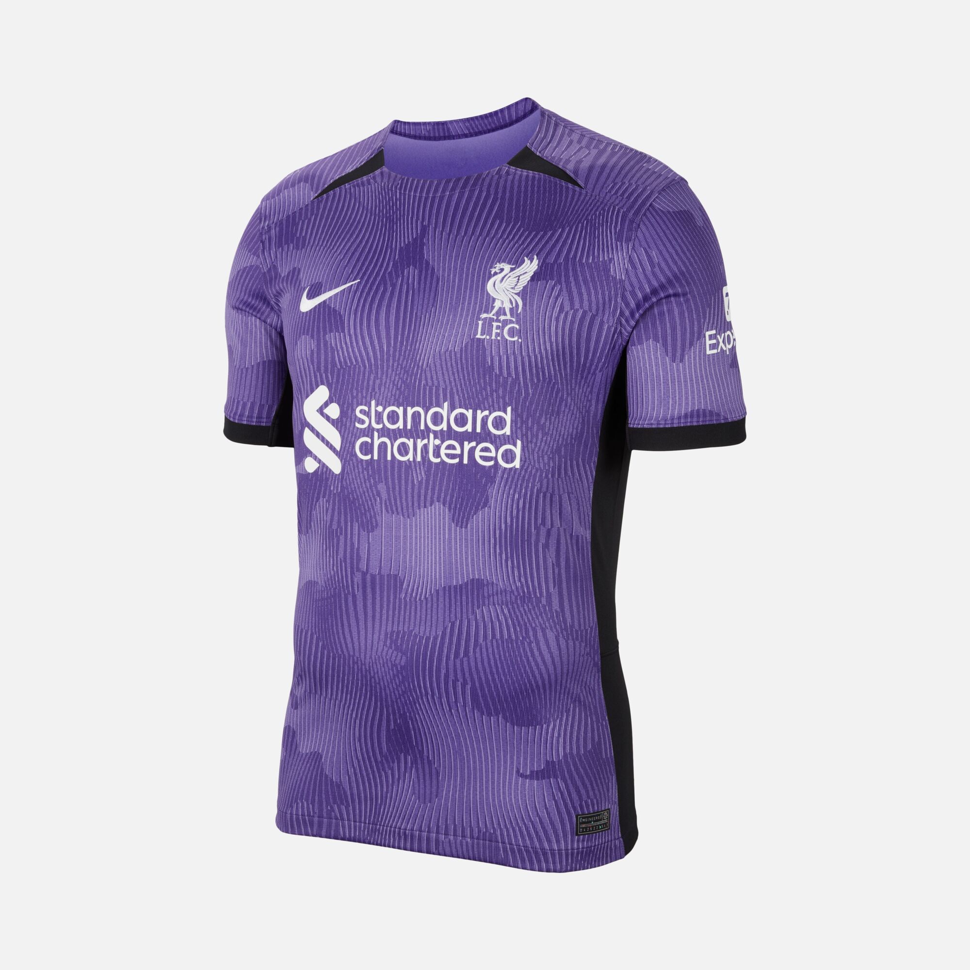 Nike FC Liverpool 2023-2024 Stadyum Üçüncü Takım Erkek Forma