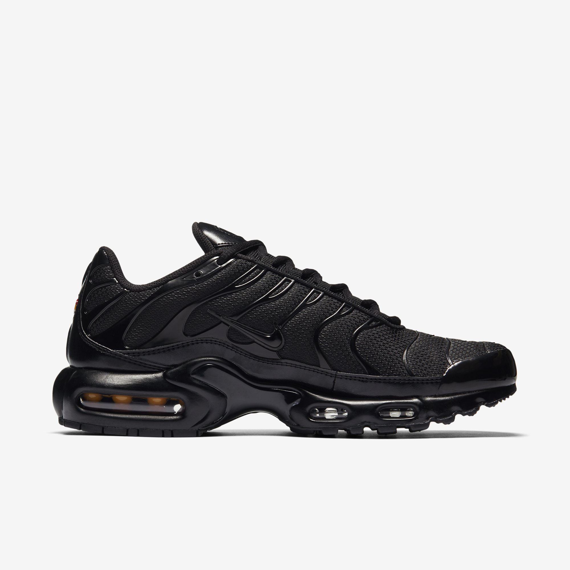 Nike Air Max Plus CO Erkek Spor Ayakkabı