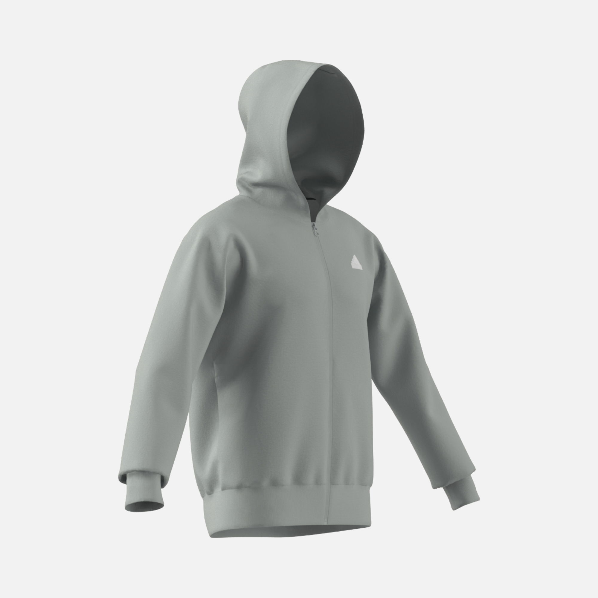 adidas Sportswear Future Icons Badge of Sport Full-Zip Hoodie Erkek Sweatshirt