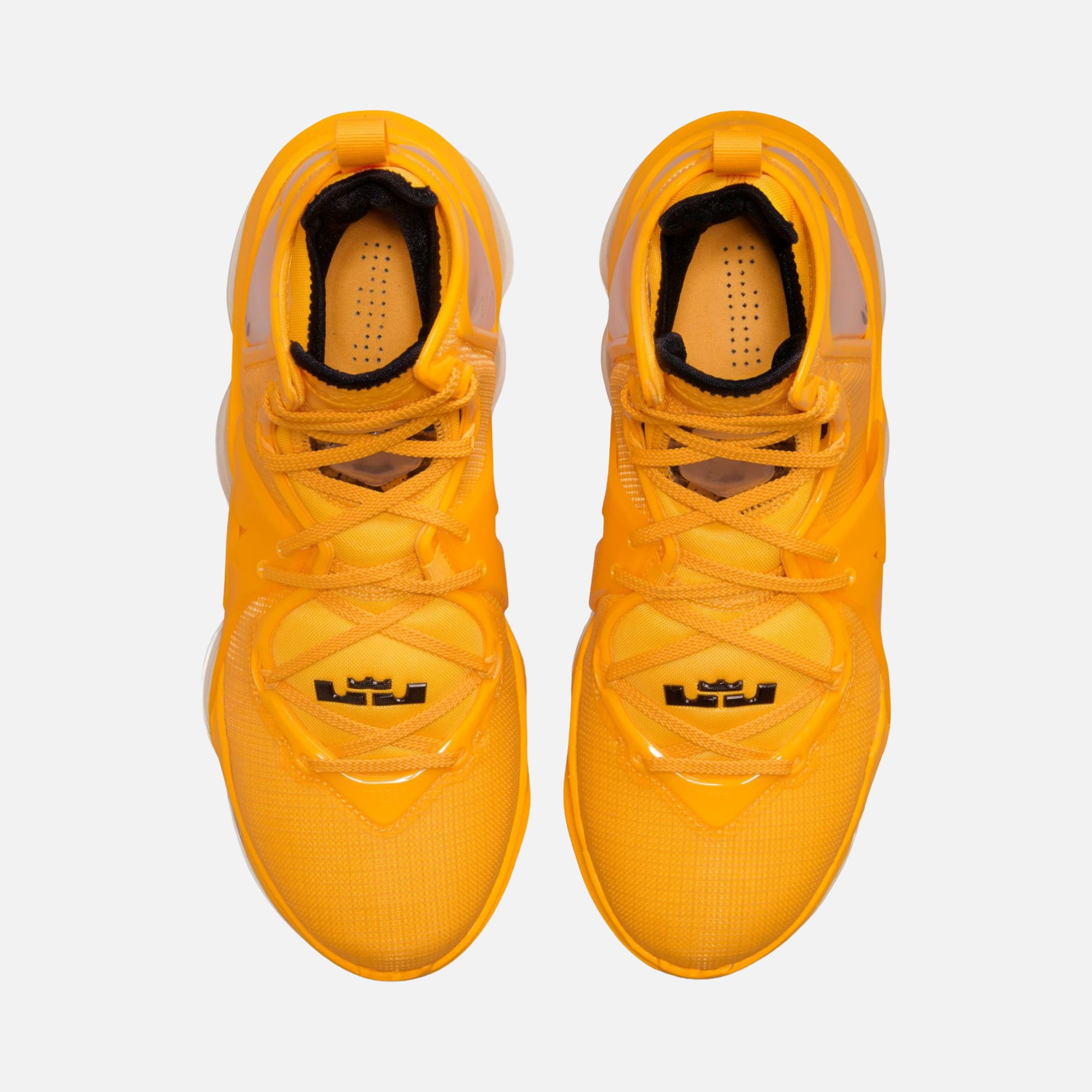 Nike LeBron James XIX CO Erkek Basketbol Ayakkabısı