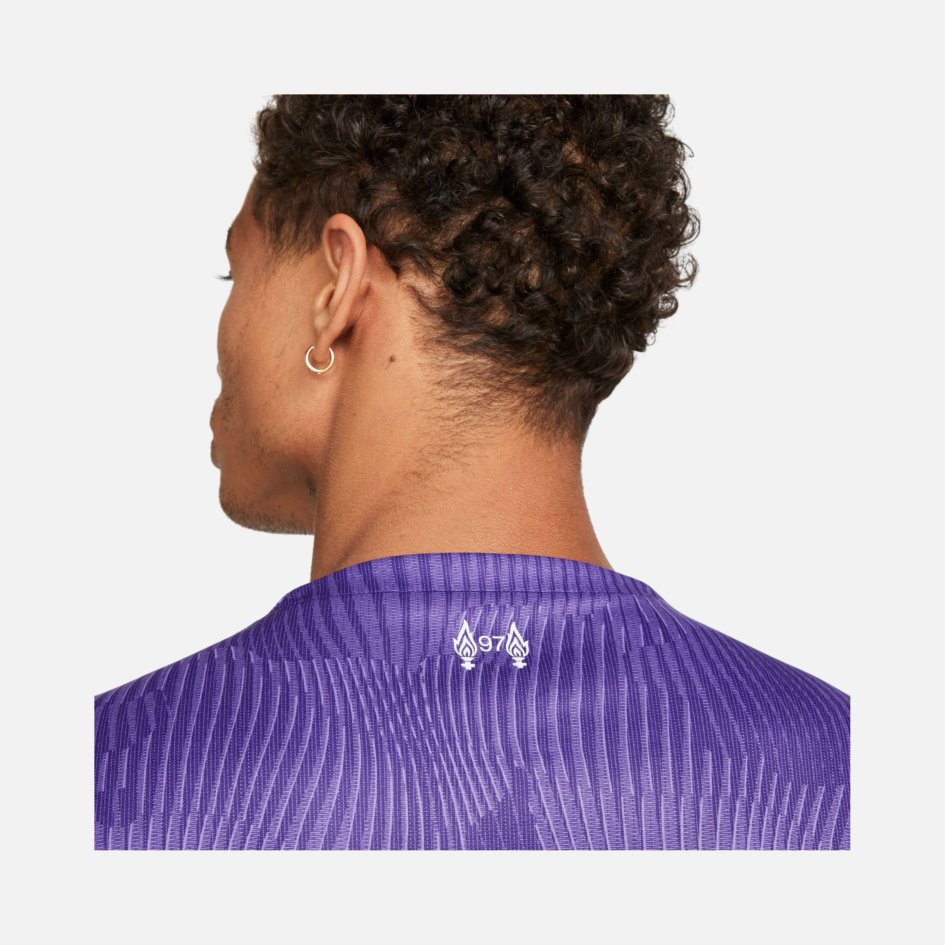 Nike FC Liverpool 2023-2024 Stadyum Üçüncü Takım Erkek Forma